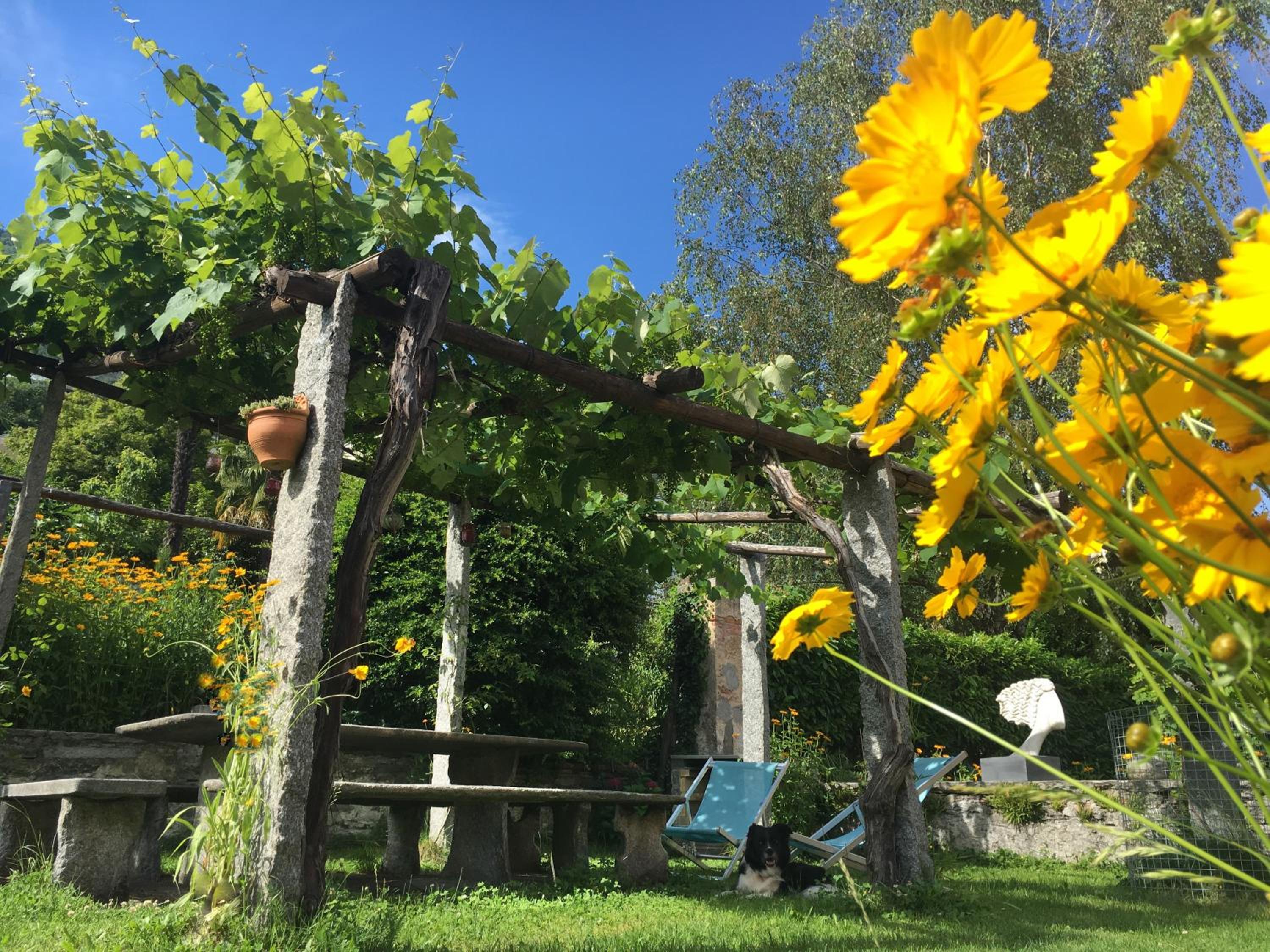 B&B villa sempreverde