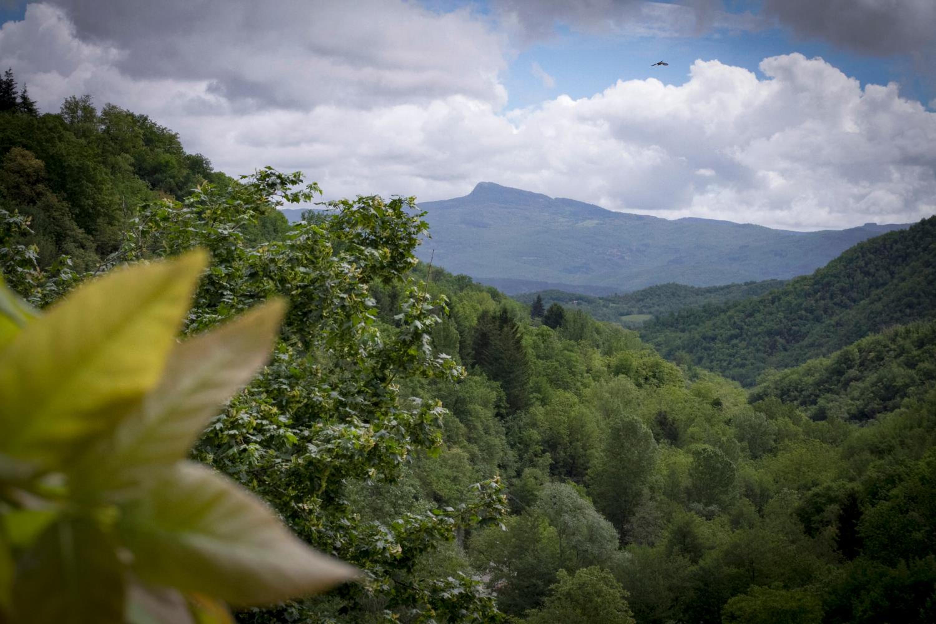 Canto del Fiume view 4