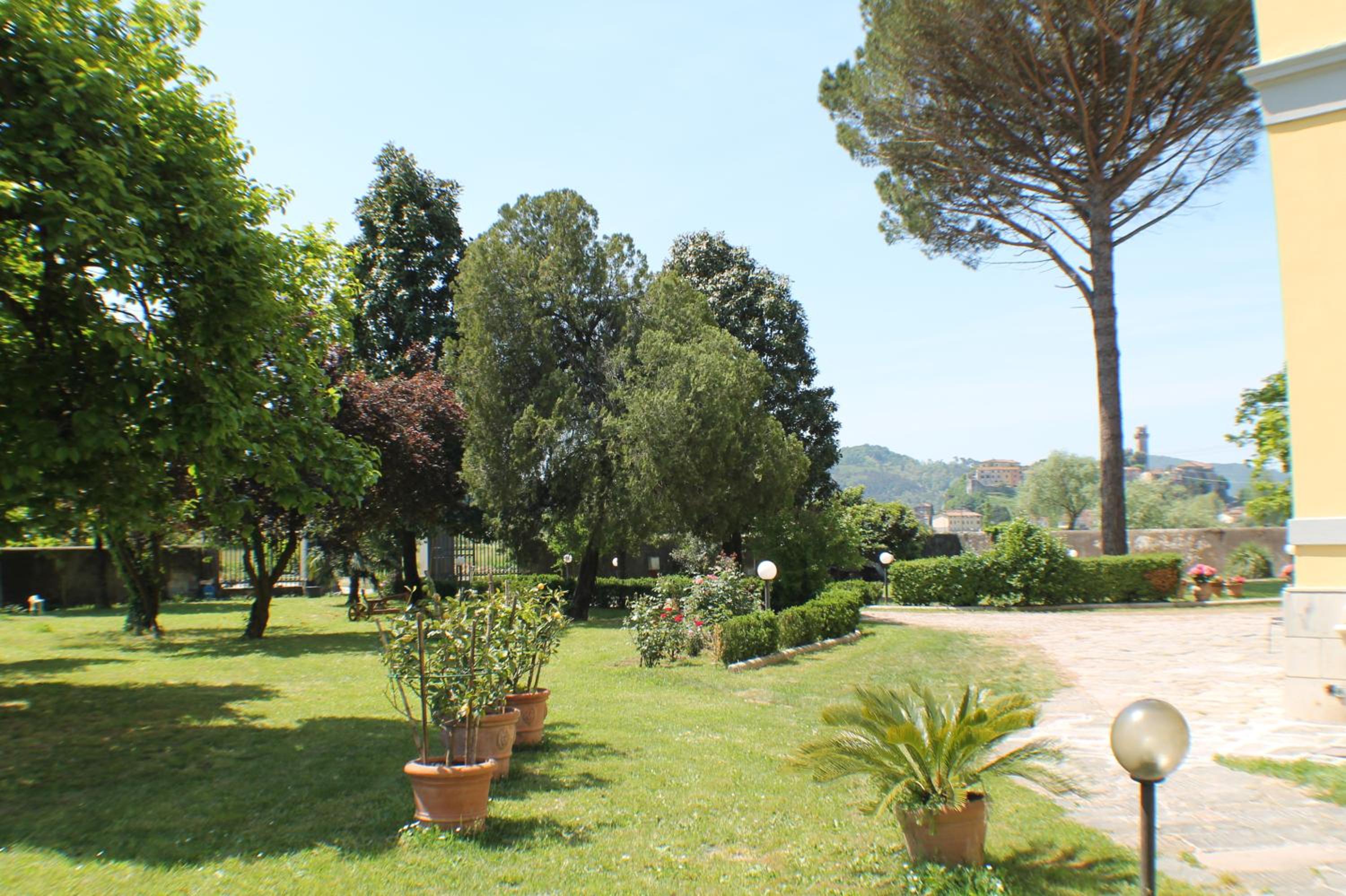 Photo 21