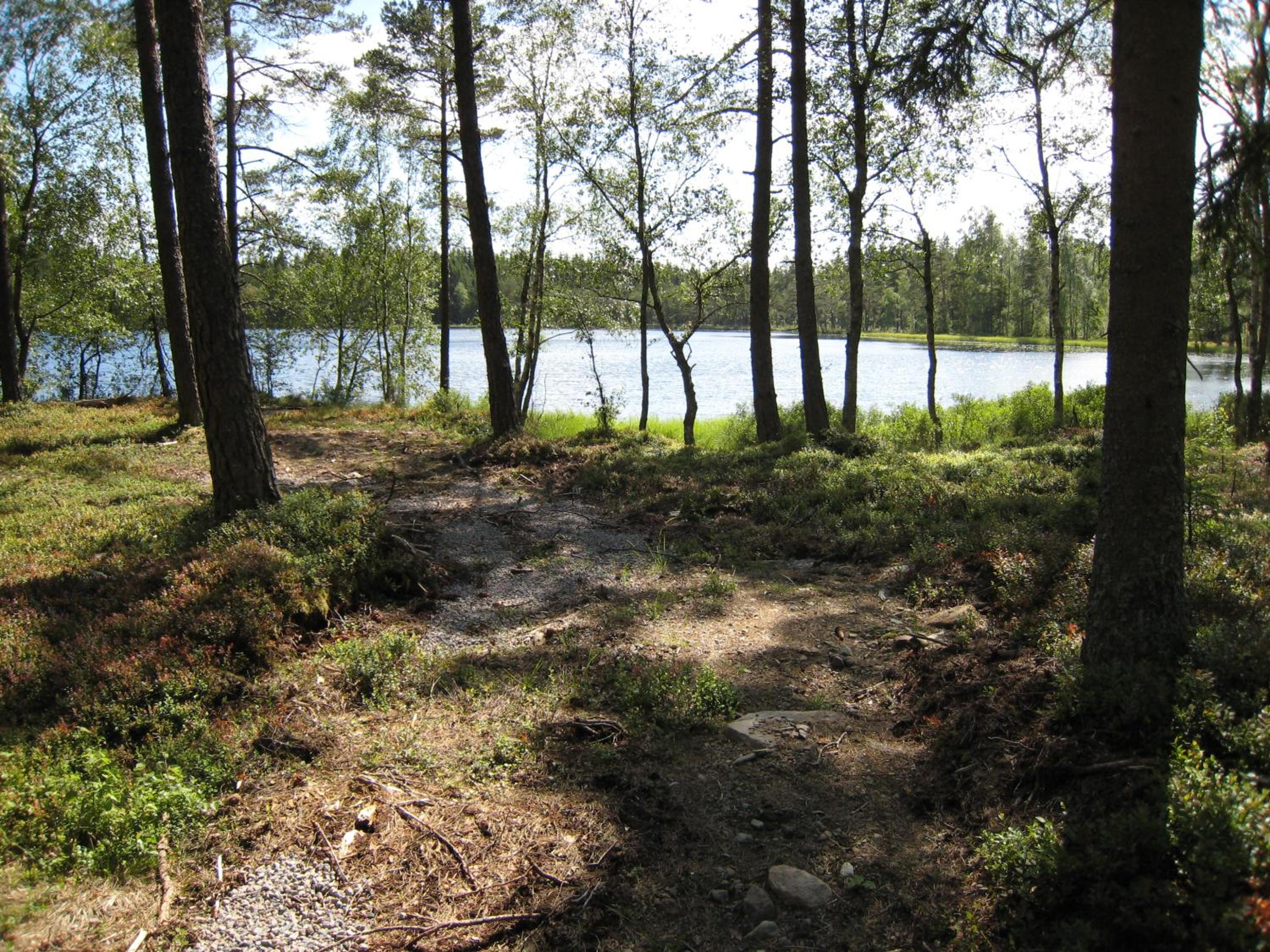 Photo 14