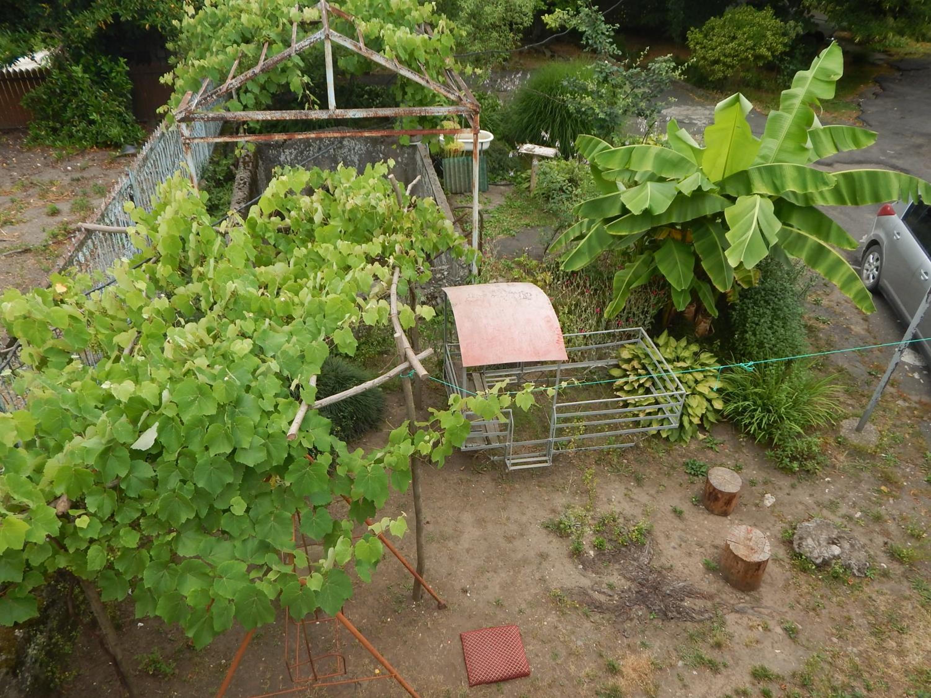 Photo 17