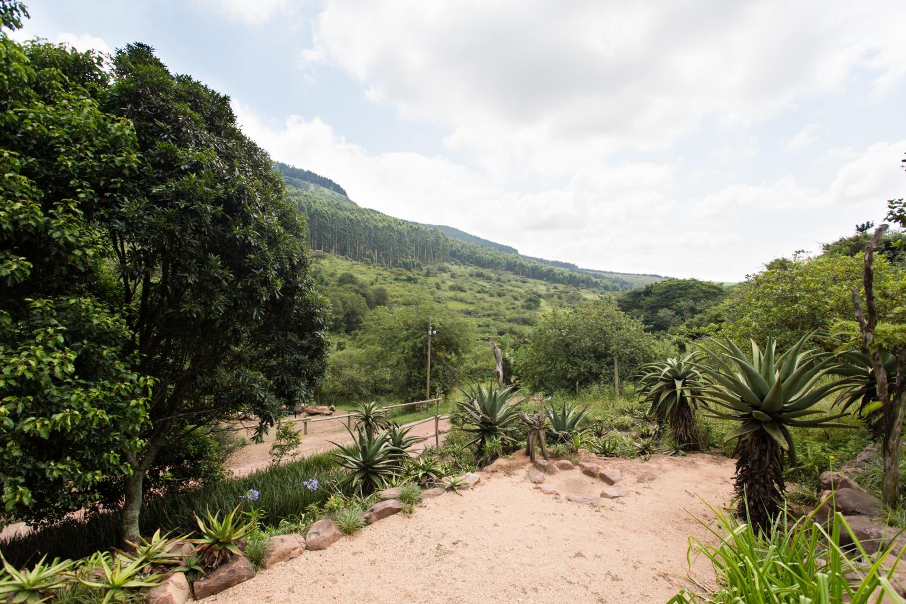 iNsingizi Lodge