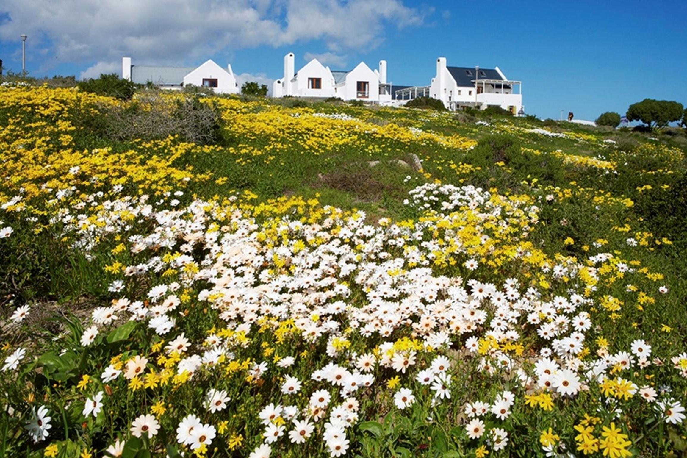 Hotel Abalone Hotel & Villa's - Image 1
