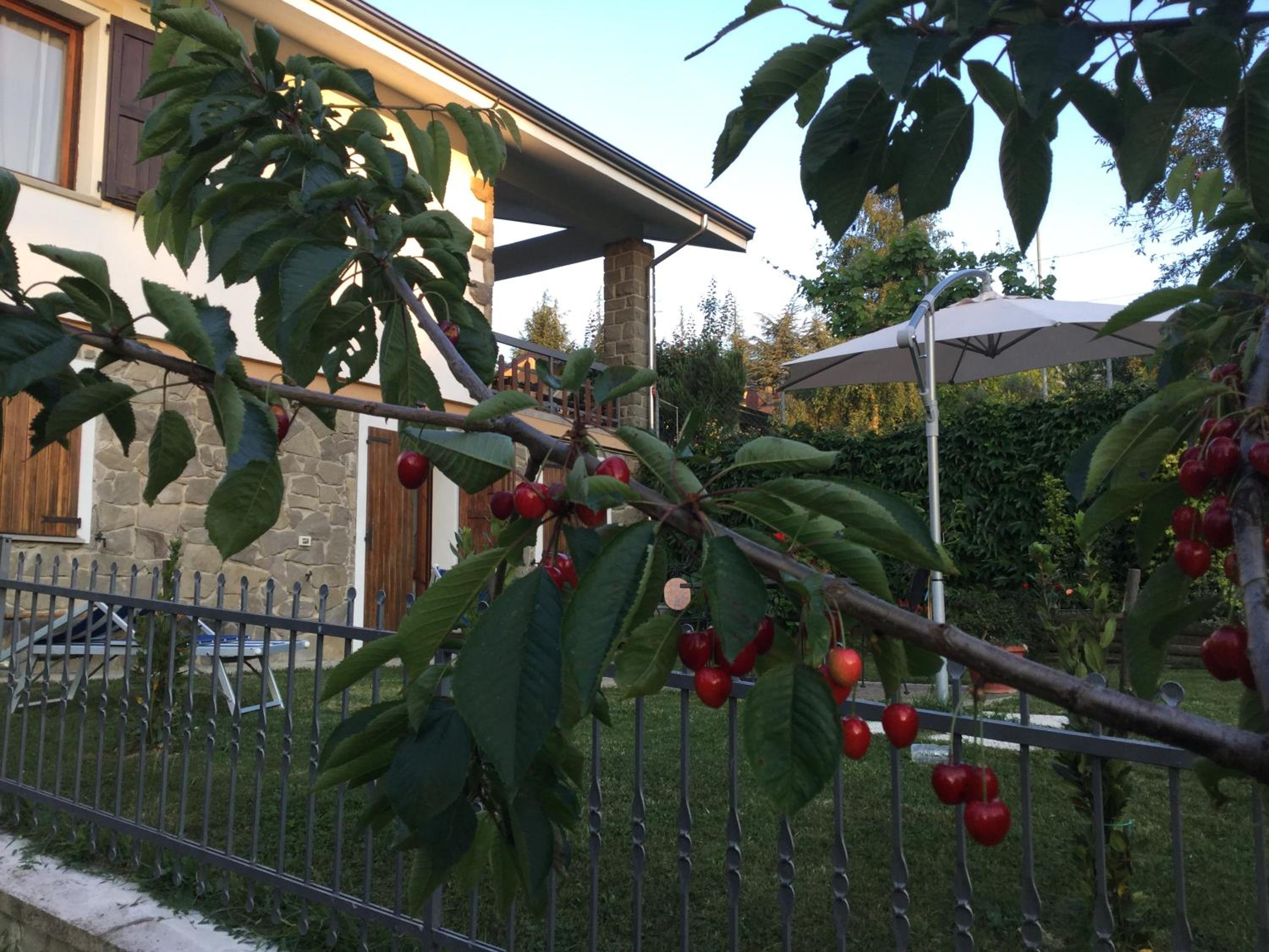 B&B Serra Pineta view 2