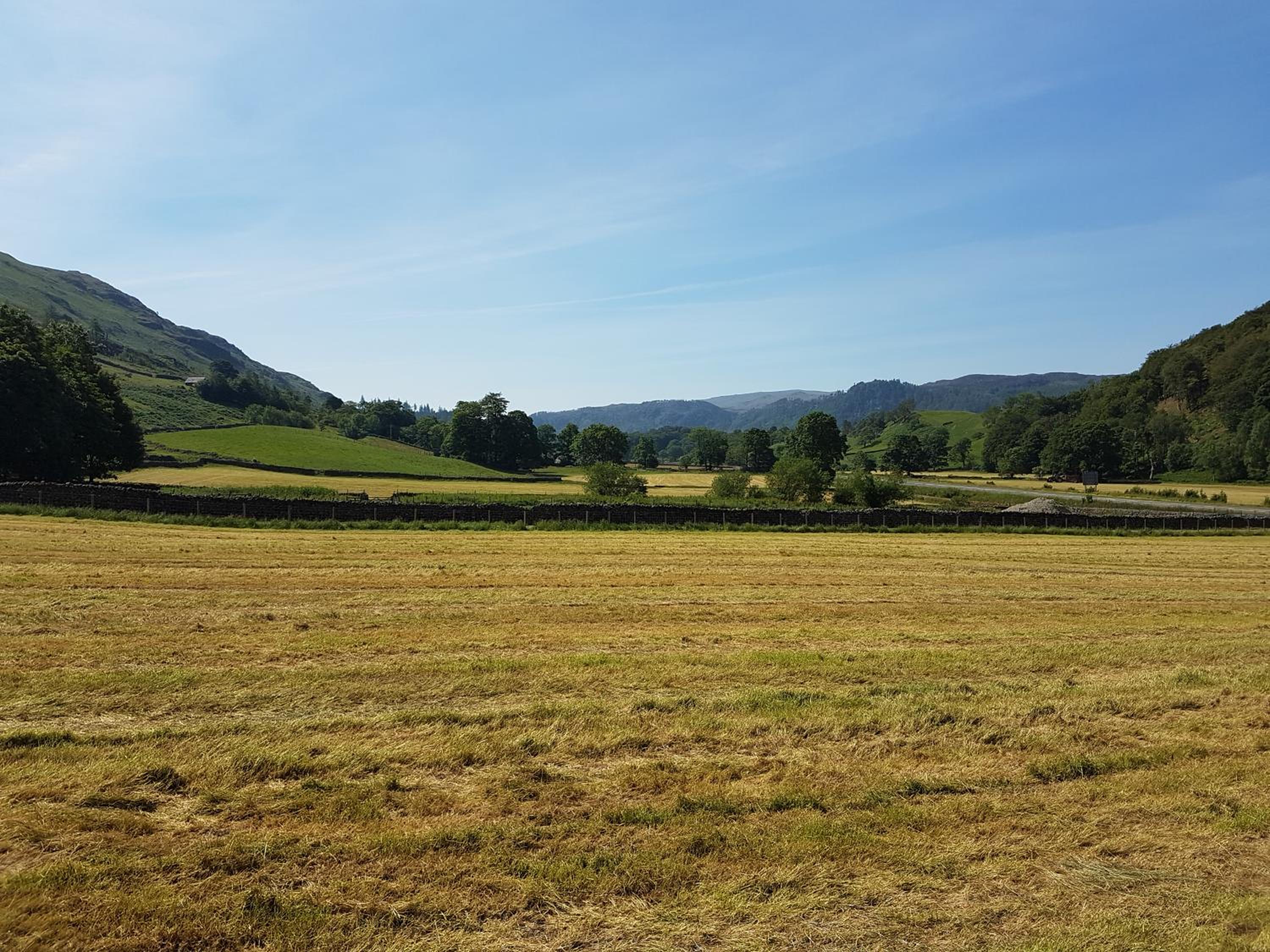 Shepherds hut Dolly wagon view 2