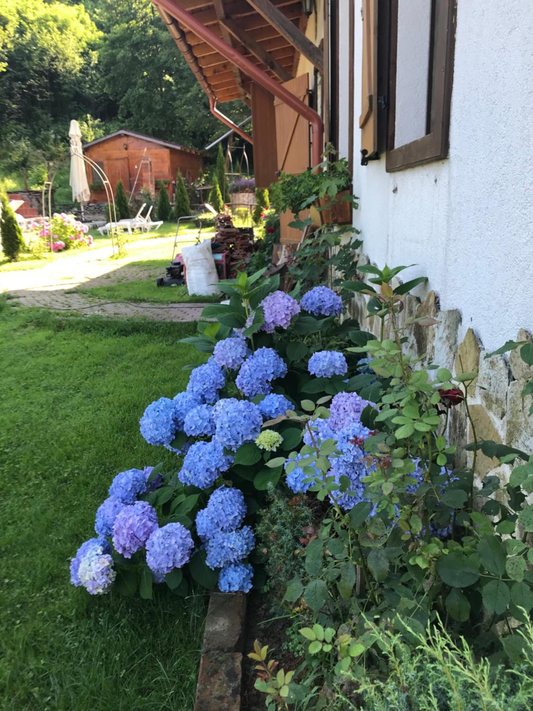 Gasthaus Maria