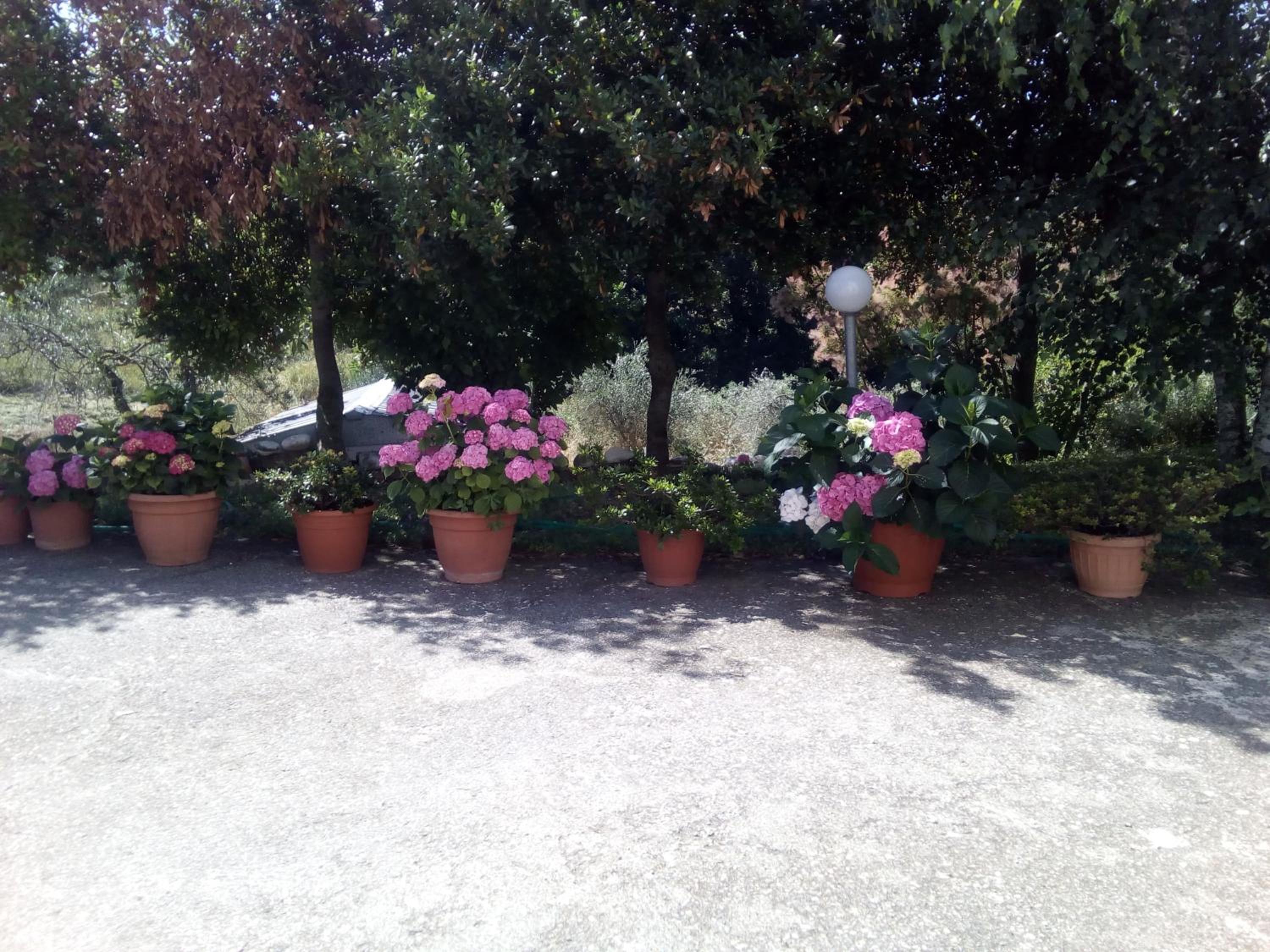 Alloggio Turistico