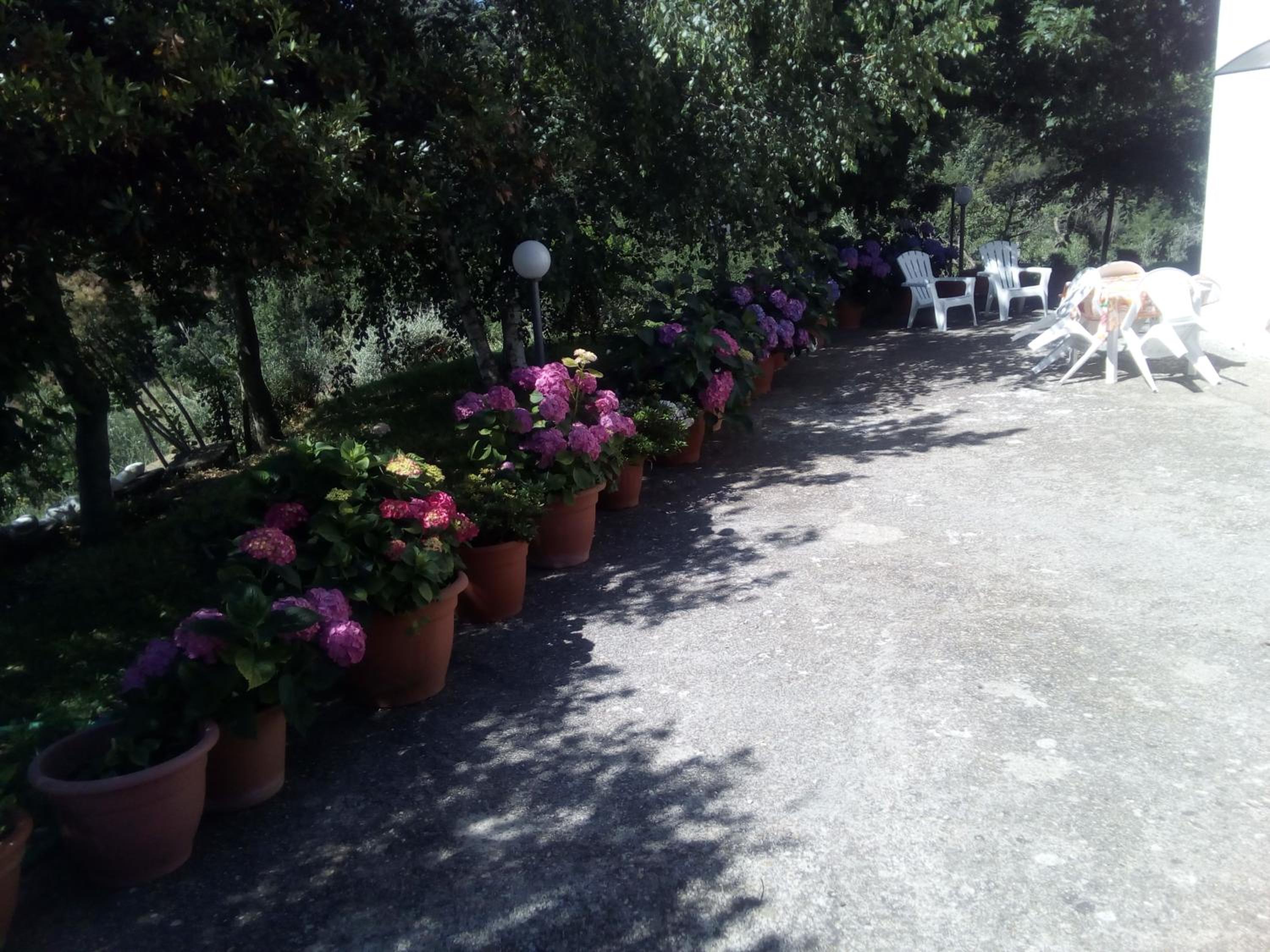 Alloggio Turistico