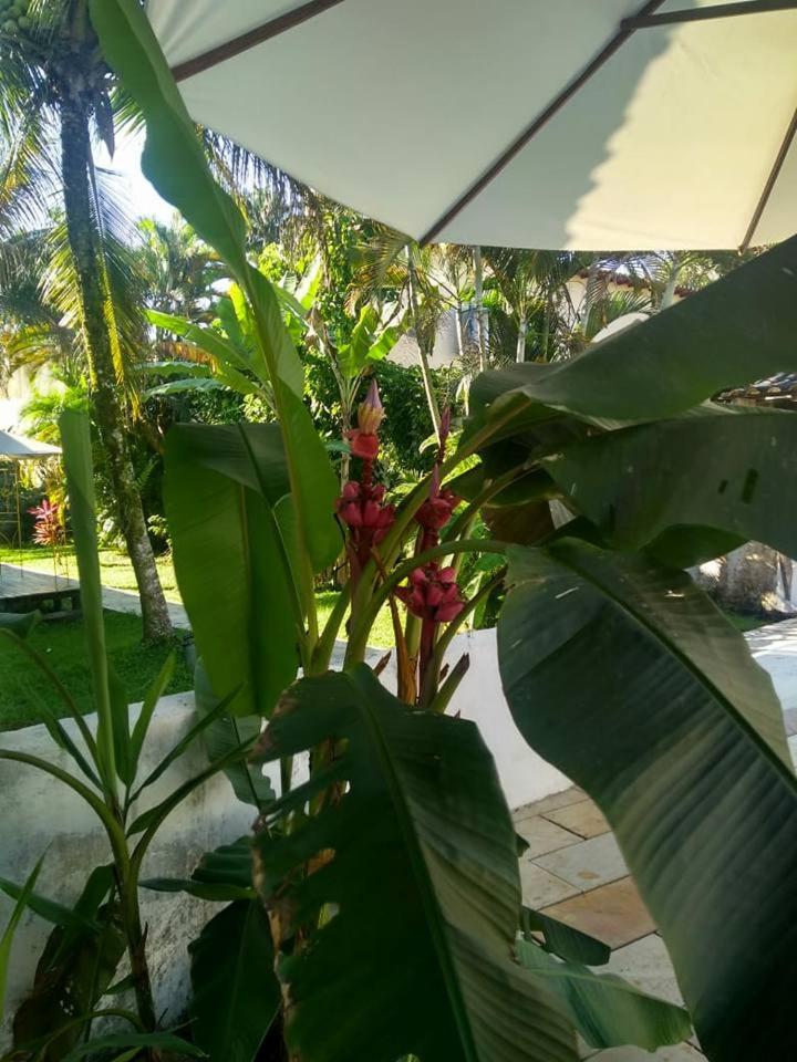 Pousada do Tesouro, photo 37