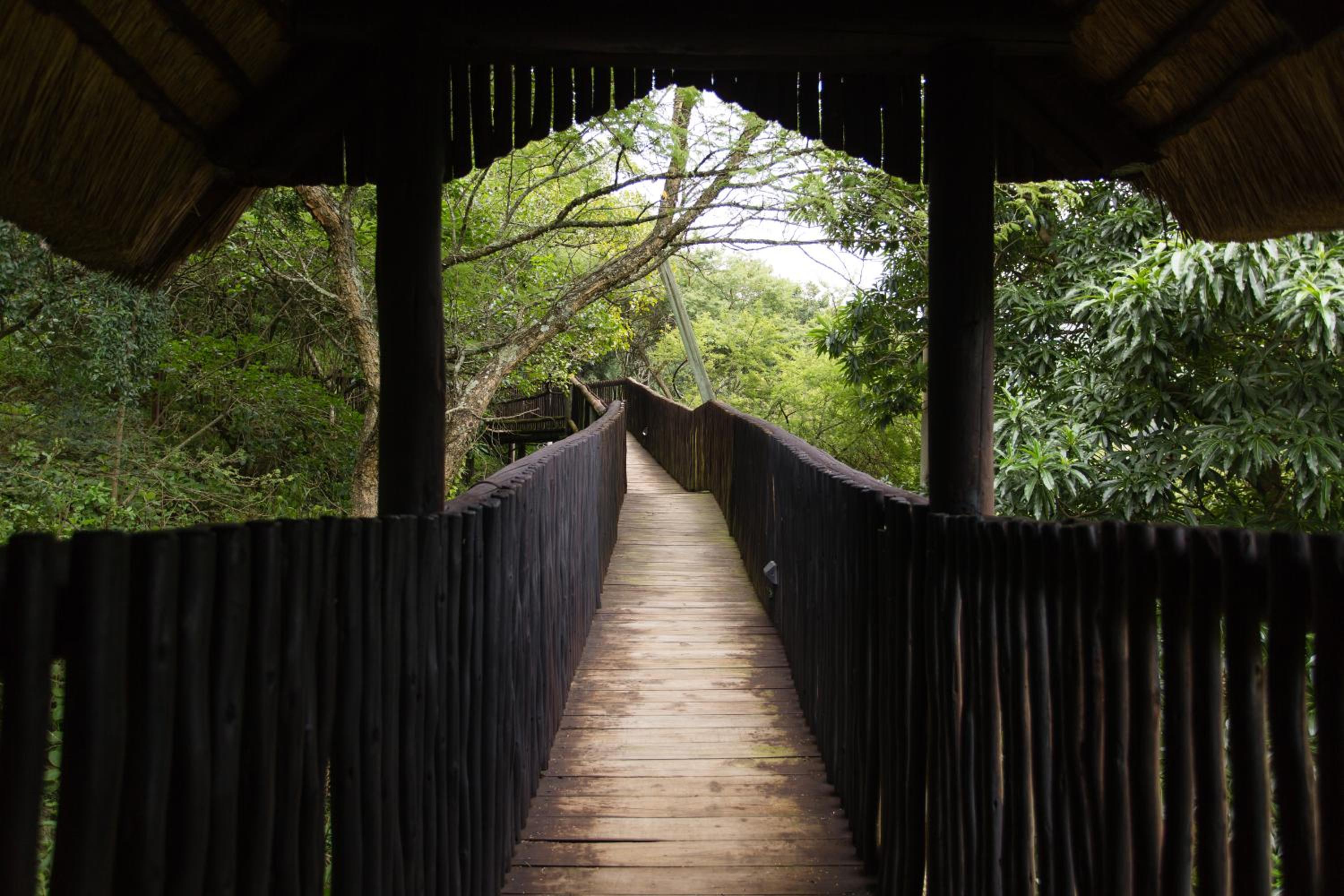 iNsingizi Lodge