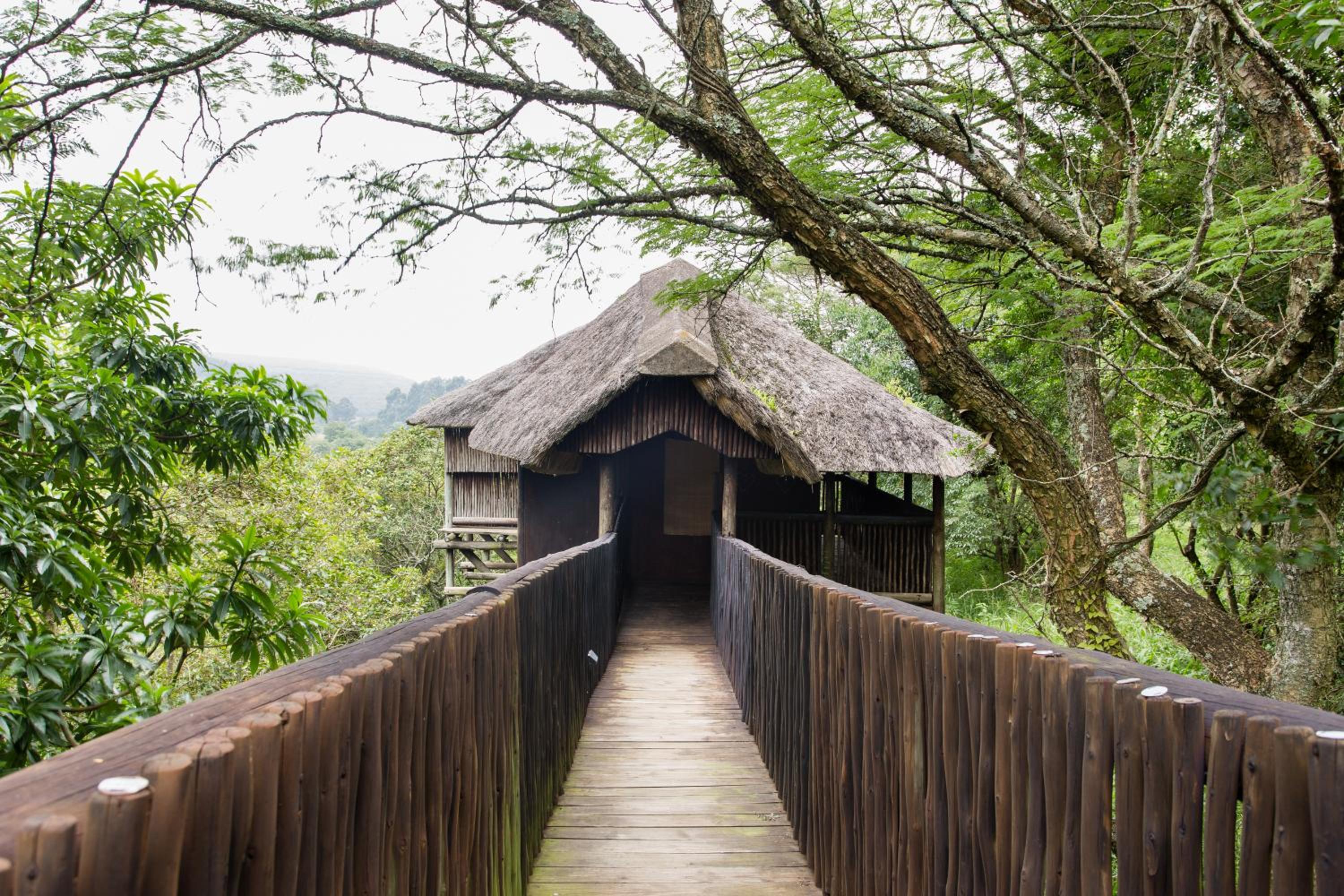 iNsingizi Lodge