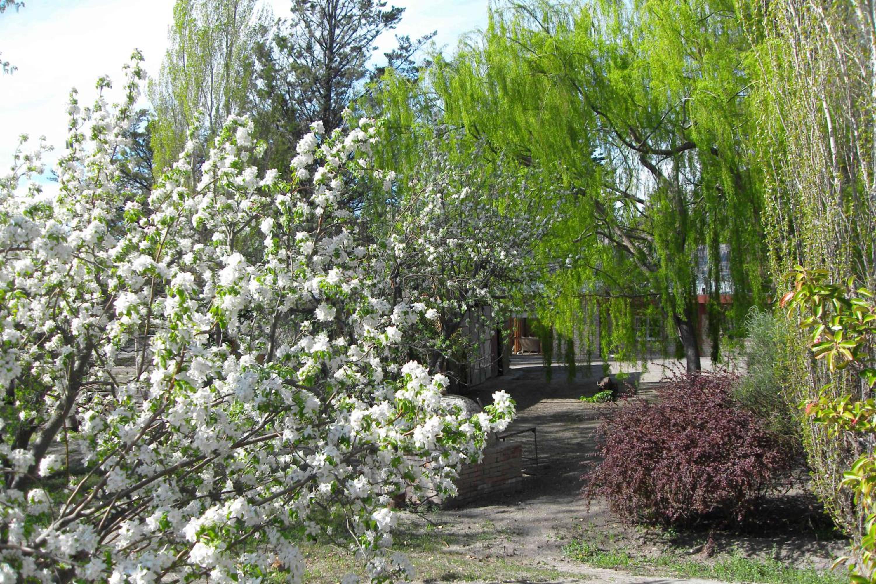 La Casona del Rio