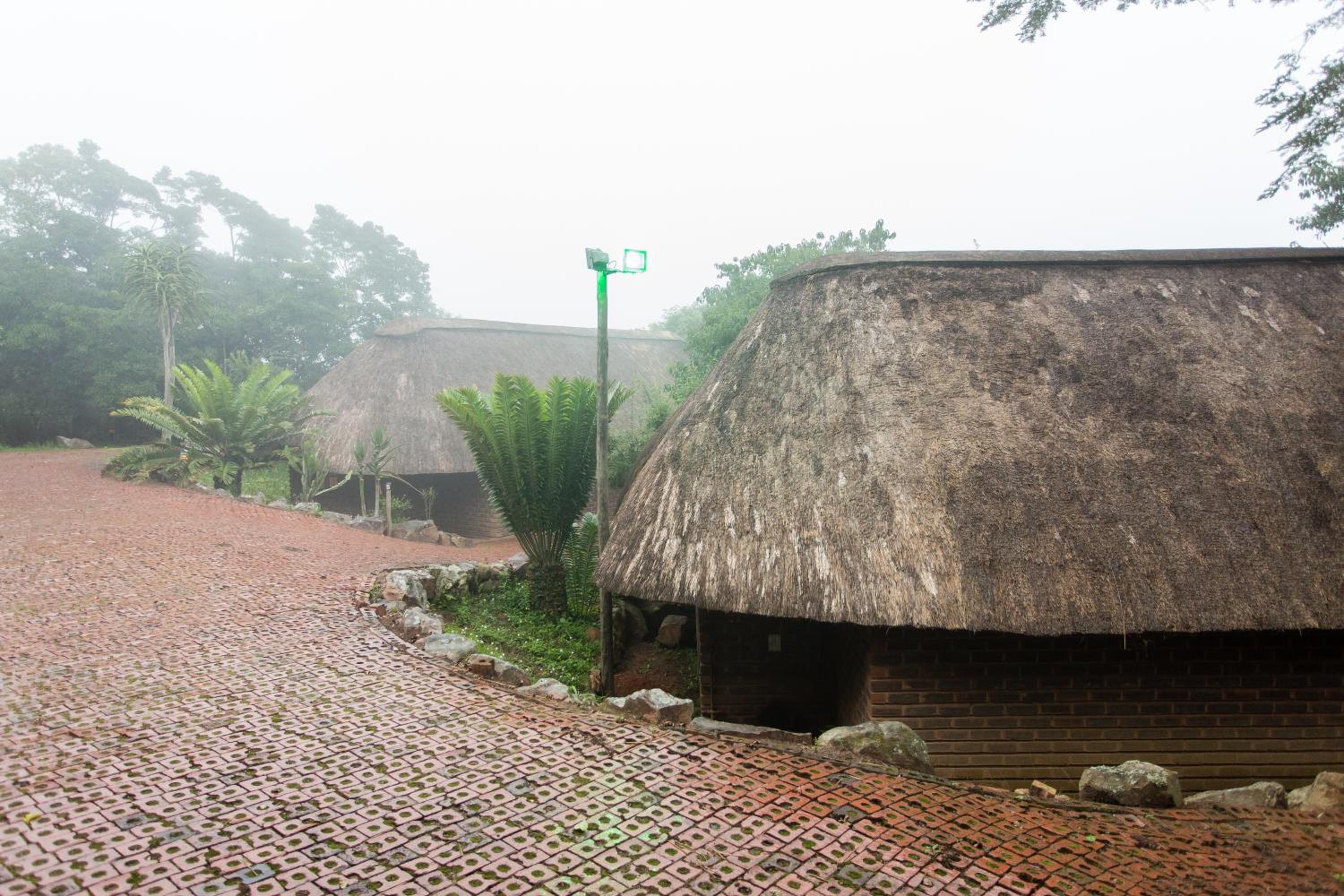 iNsingizi Lodge