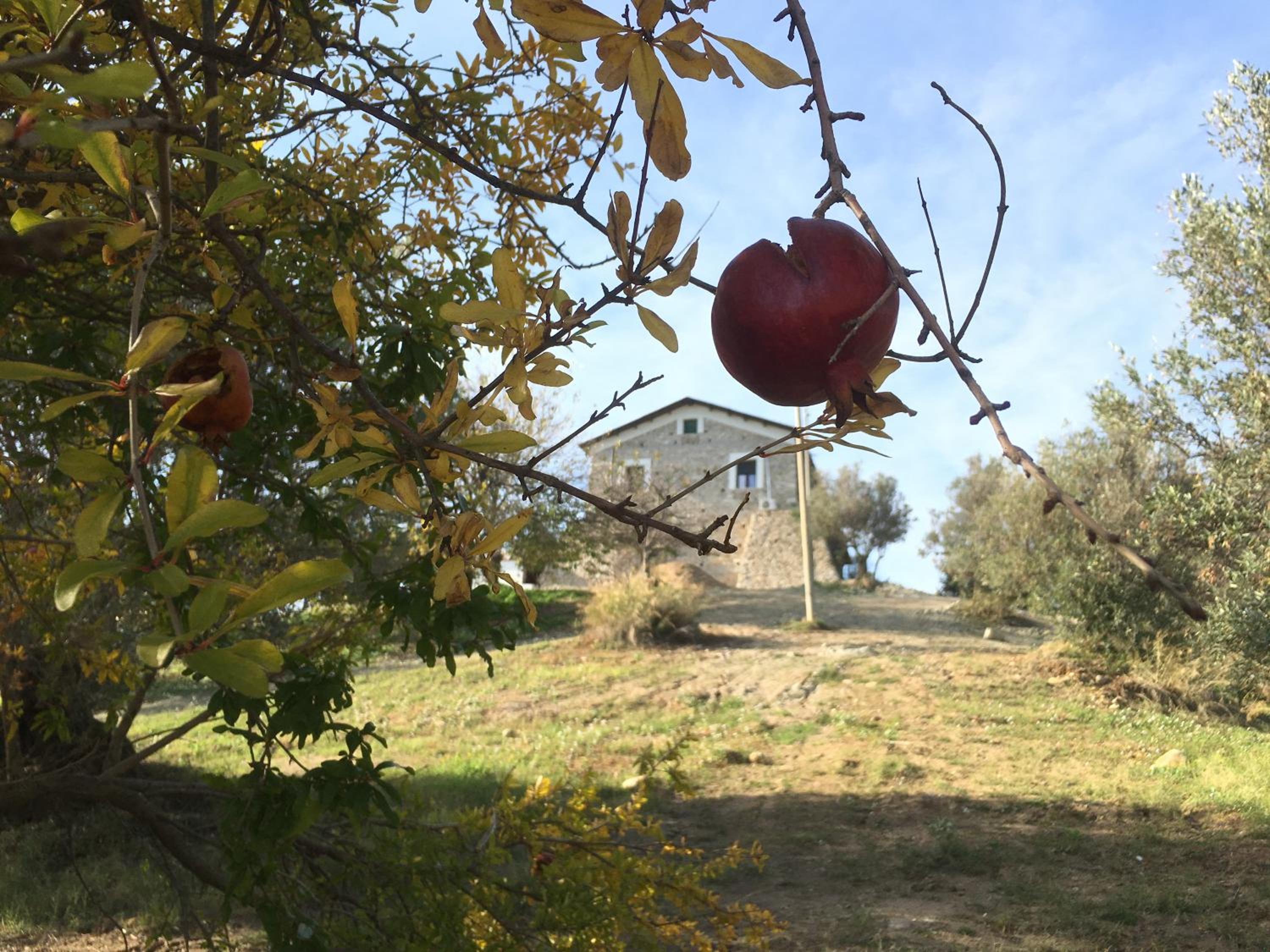 Don Giacchì Country House