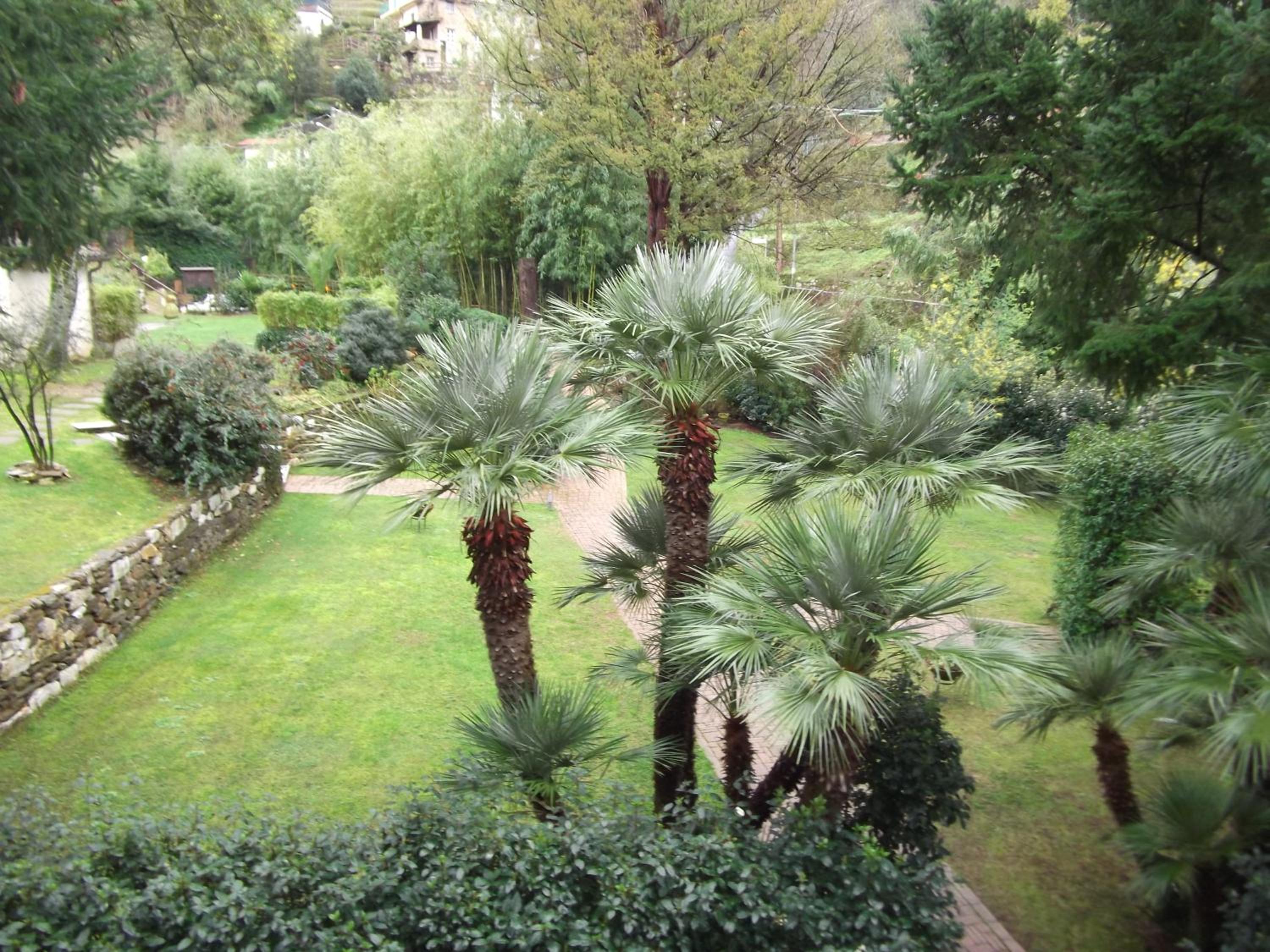 Photo 34