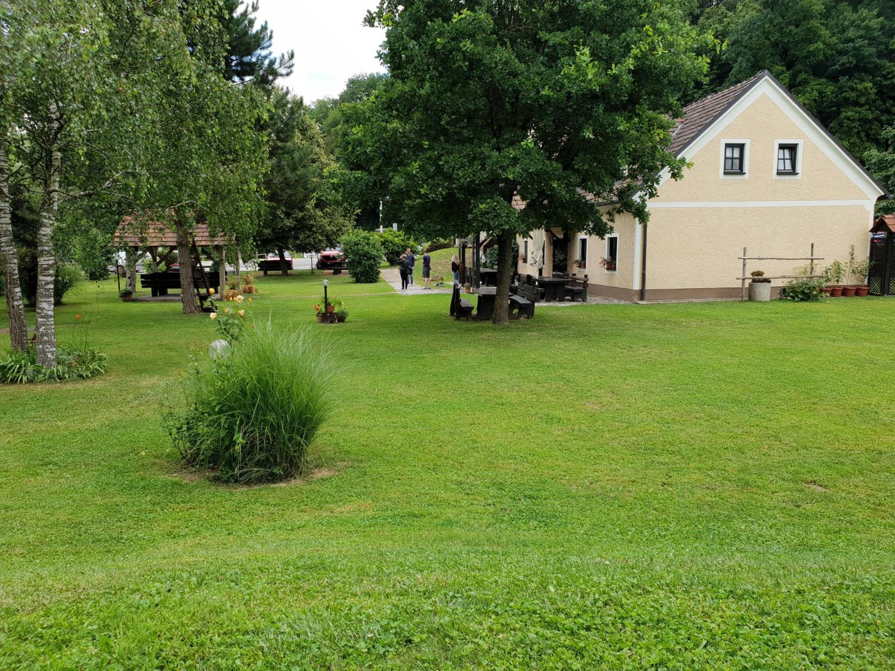 Photo 41