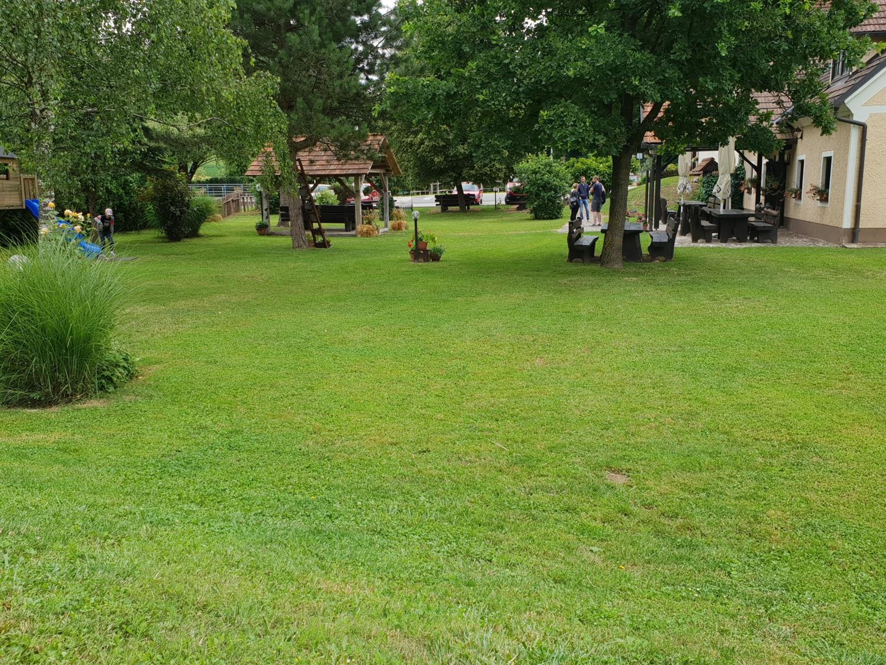 Photo 42