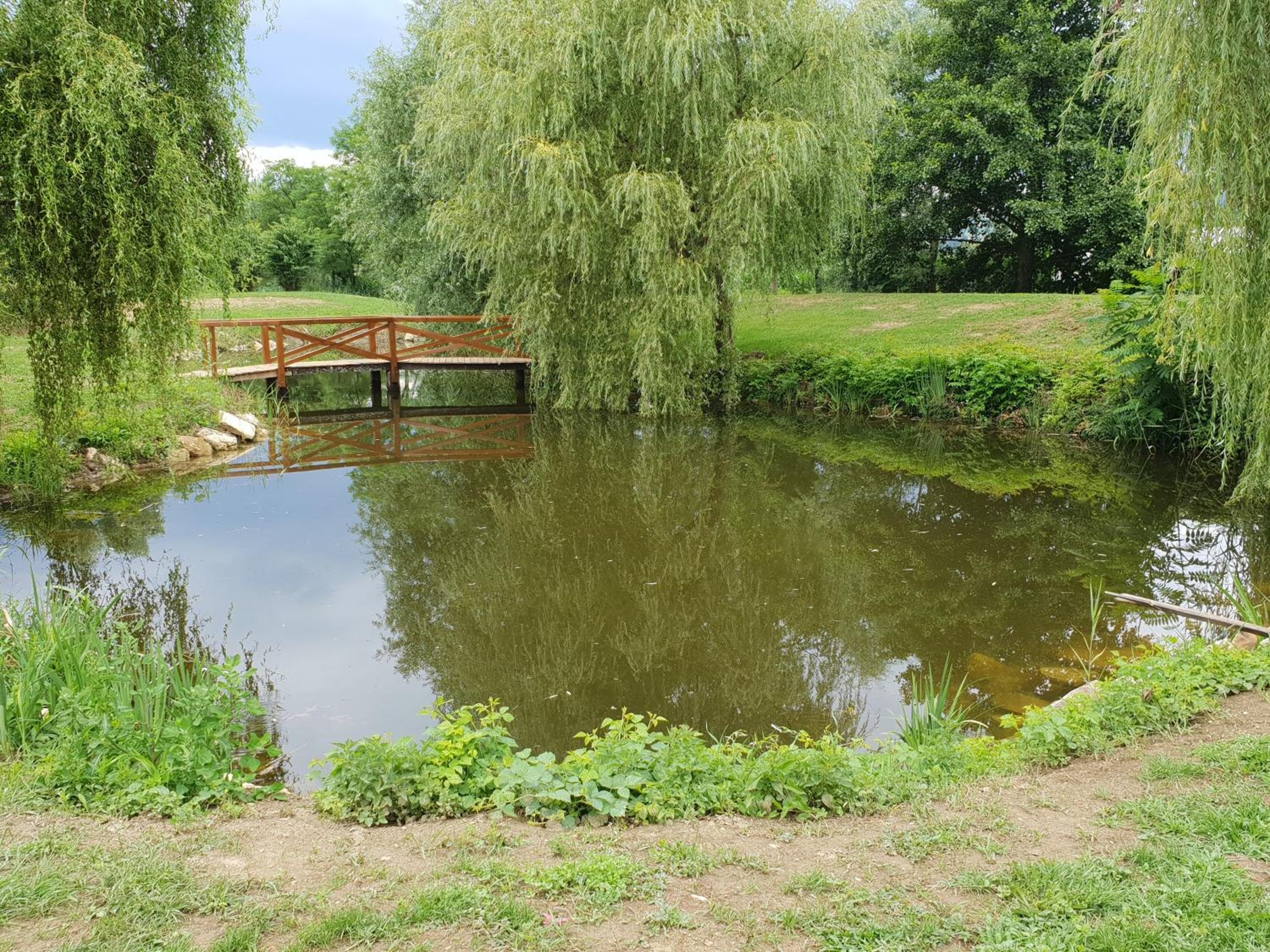 Photo 13