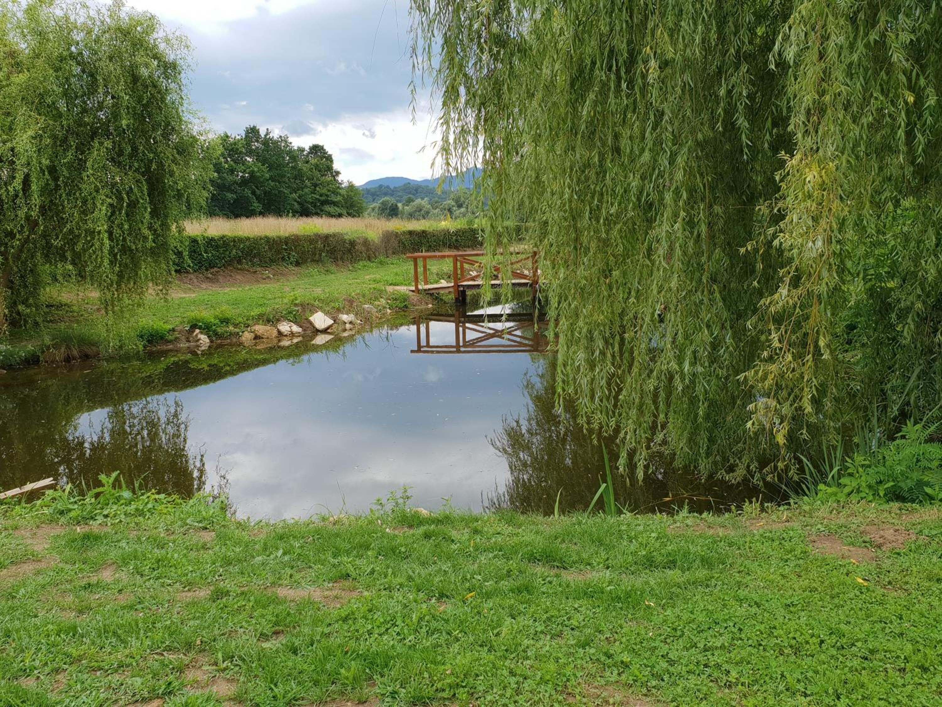 Photo 44