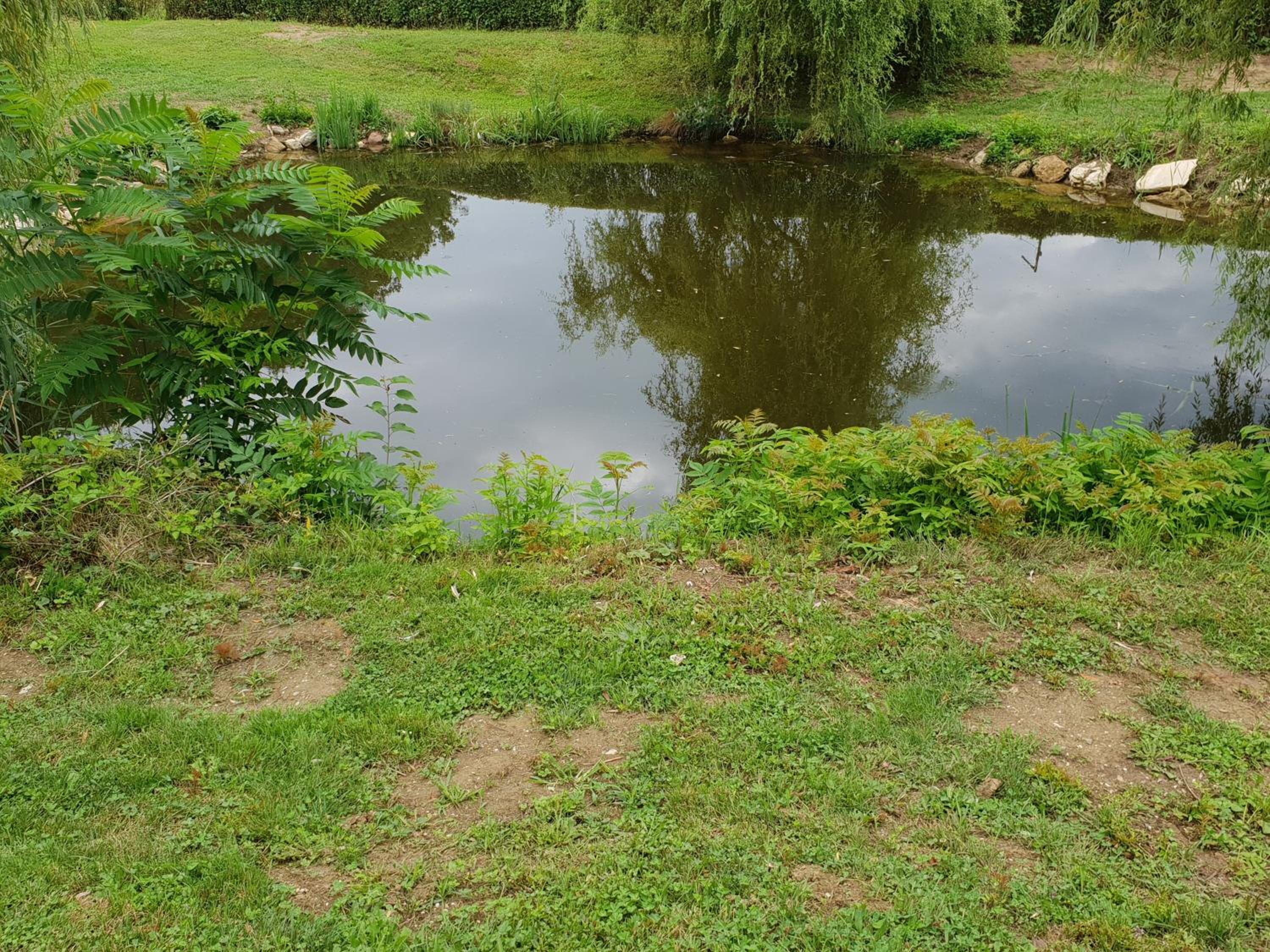 Photo 45
