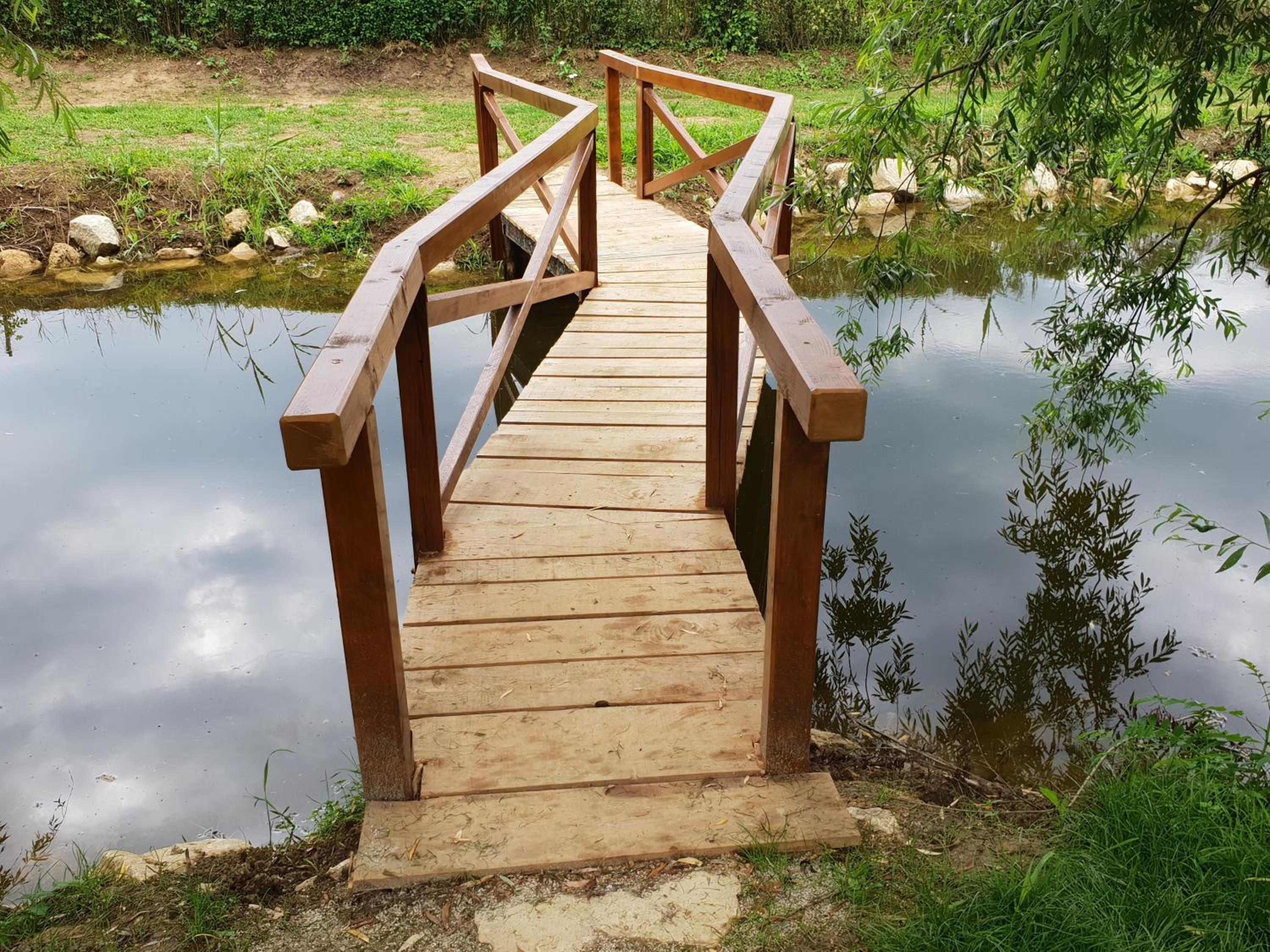Photo 46