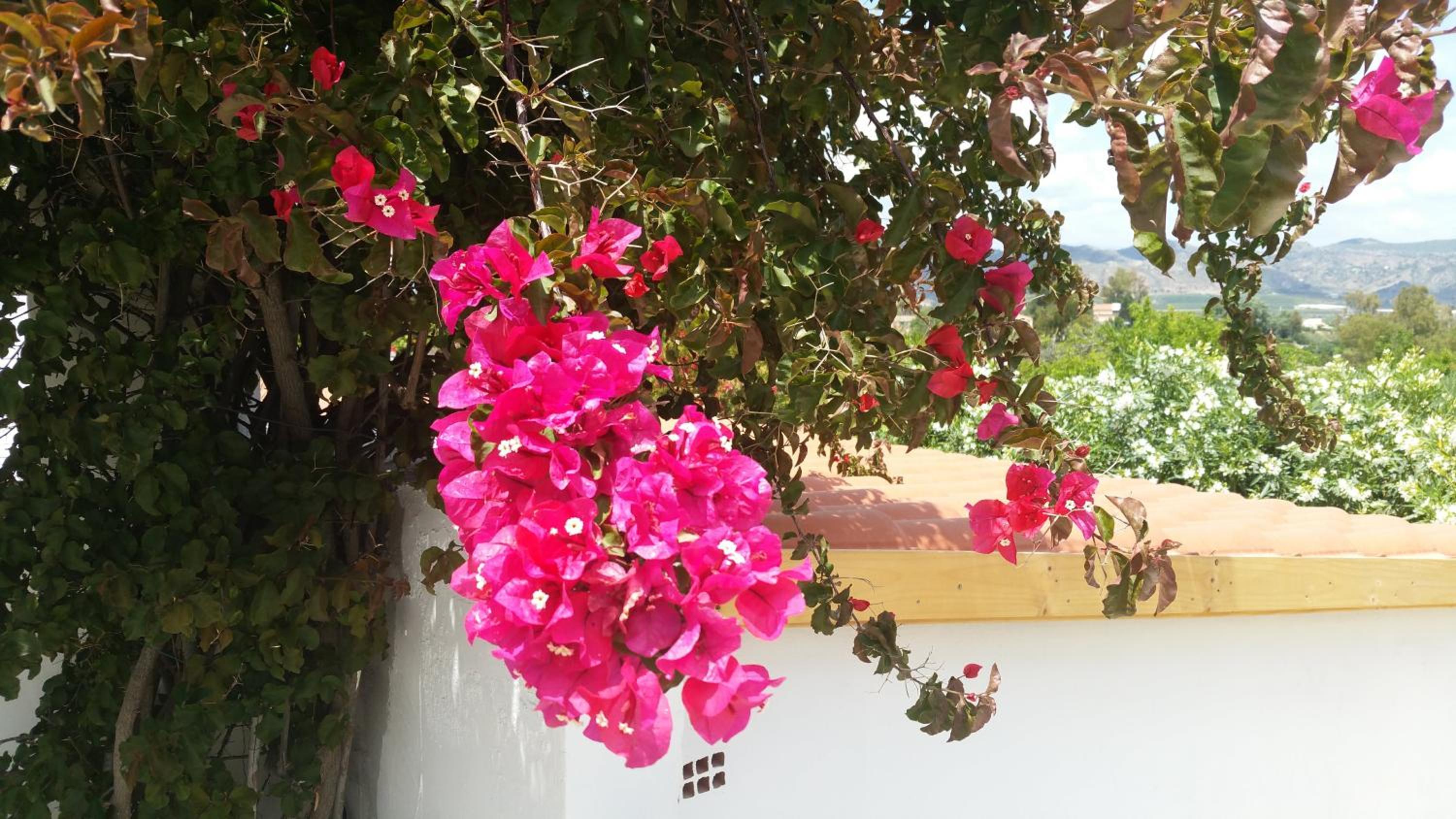 Finca Rayo del Sol