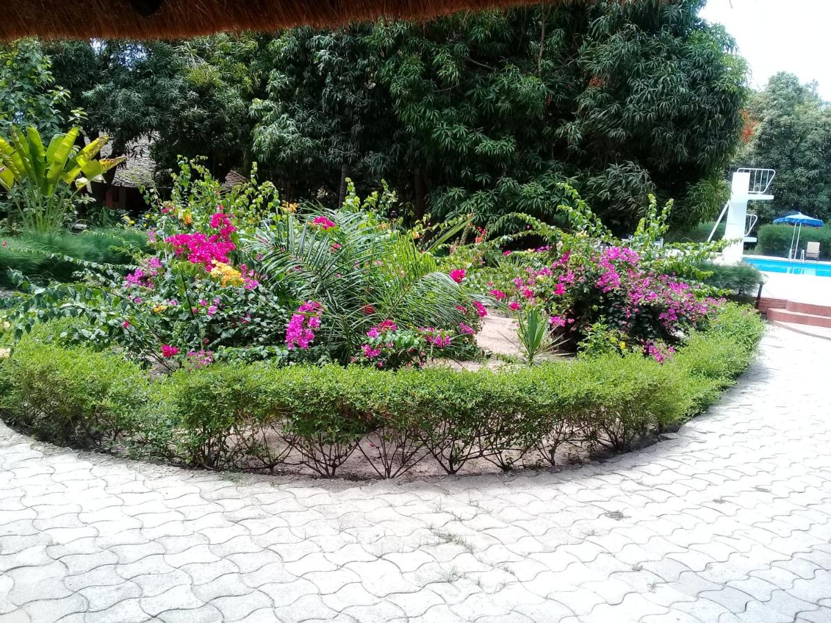 garden