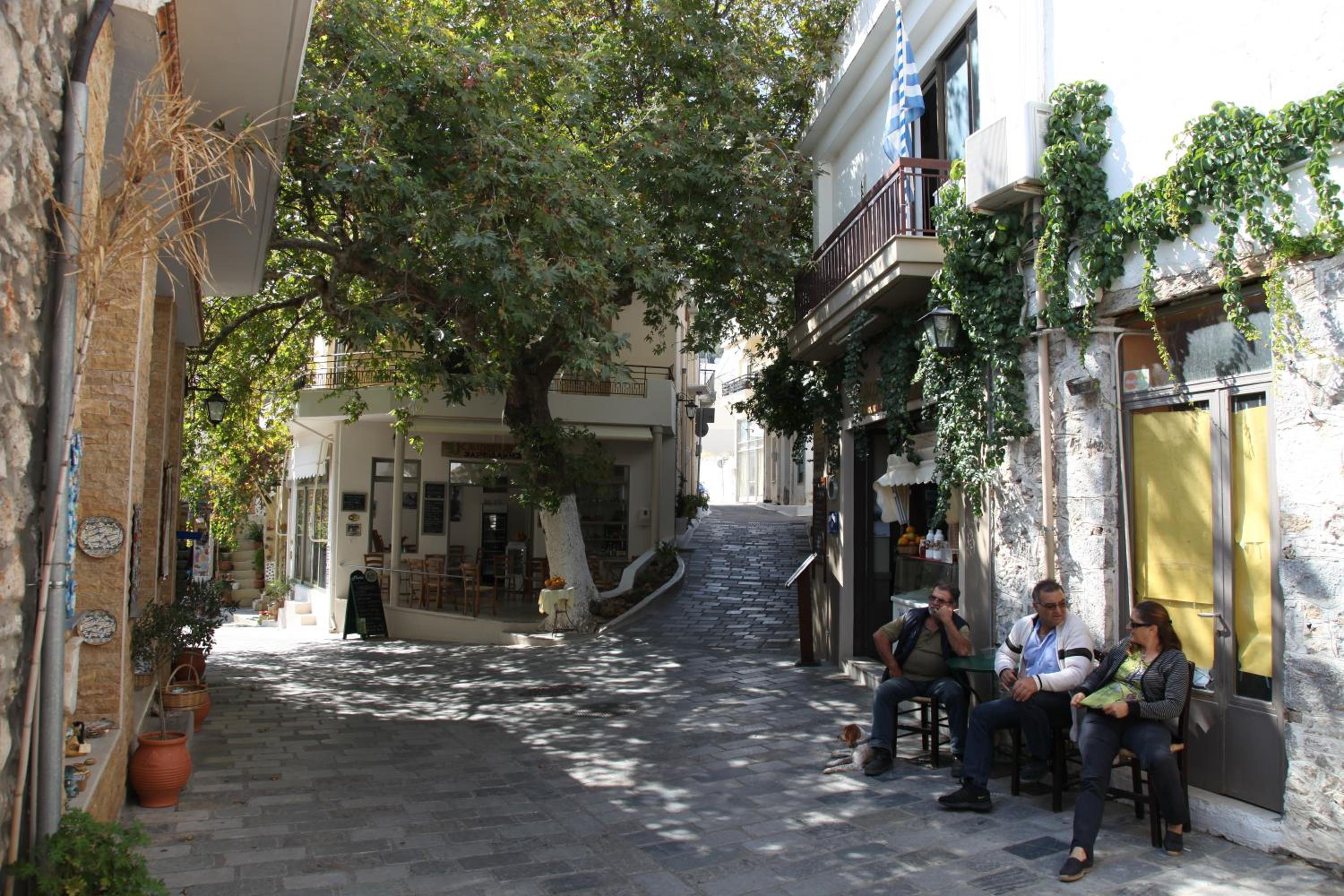 Photo 45