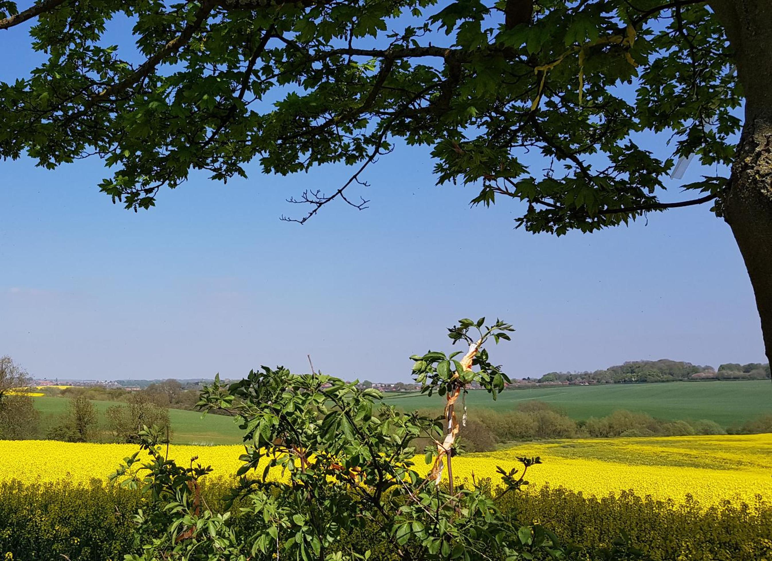 The Pebley Inn view 3