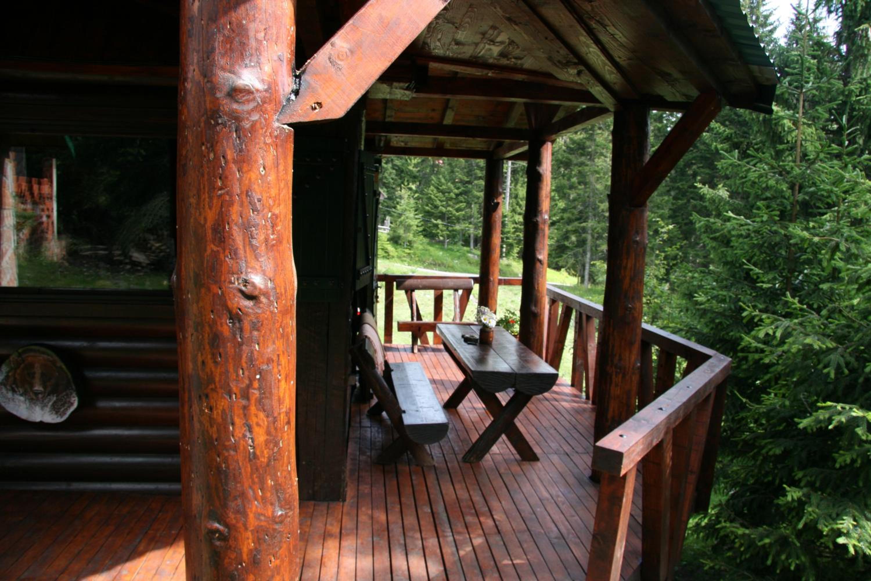 Photo 12