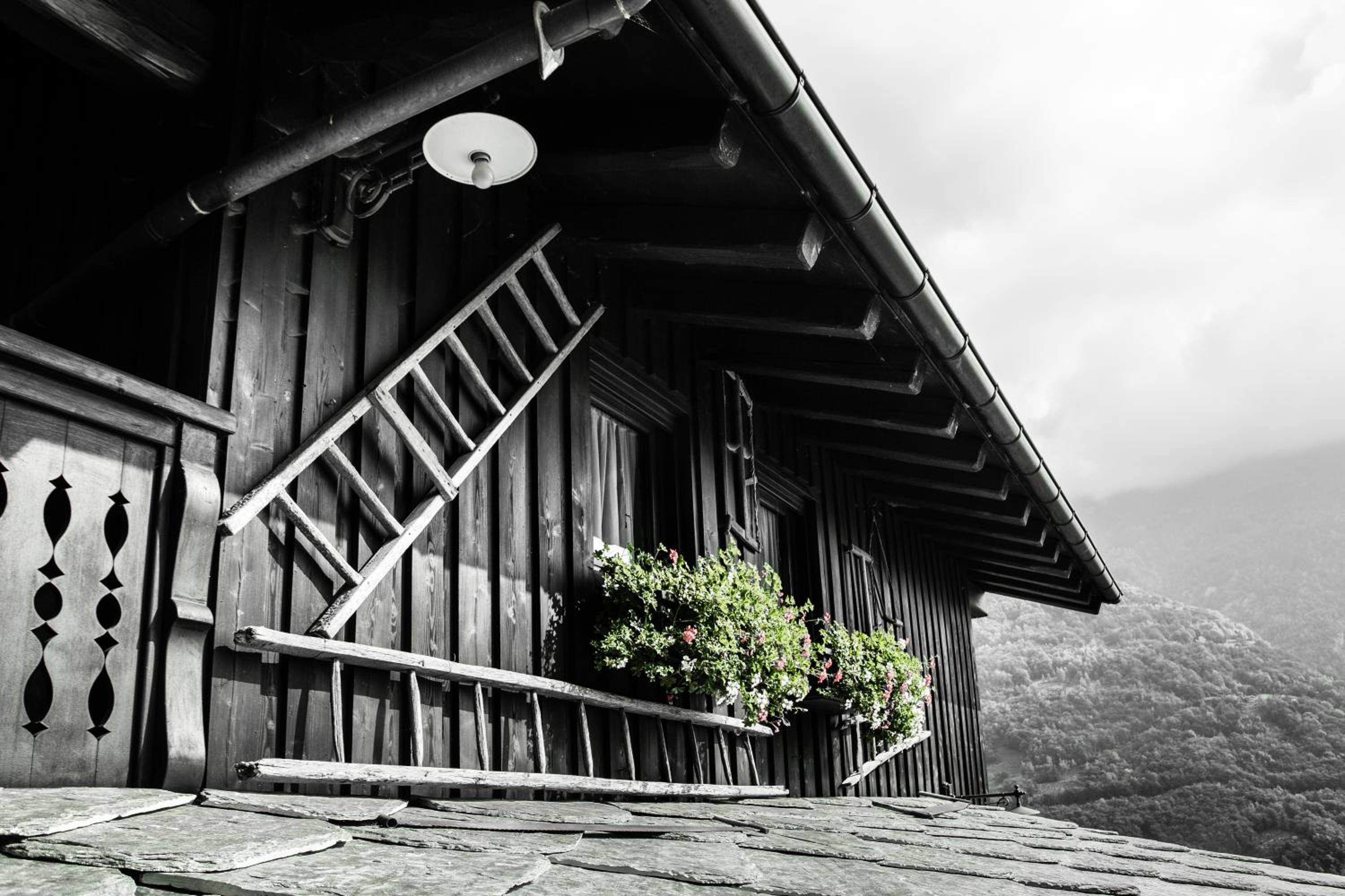 Photo 25