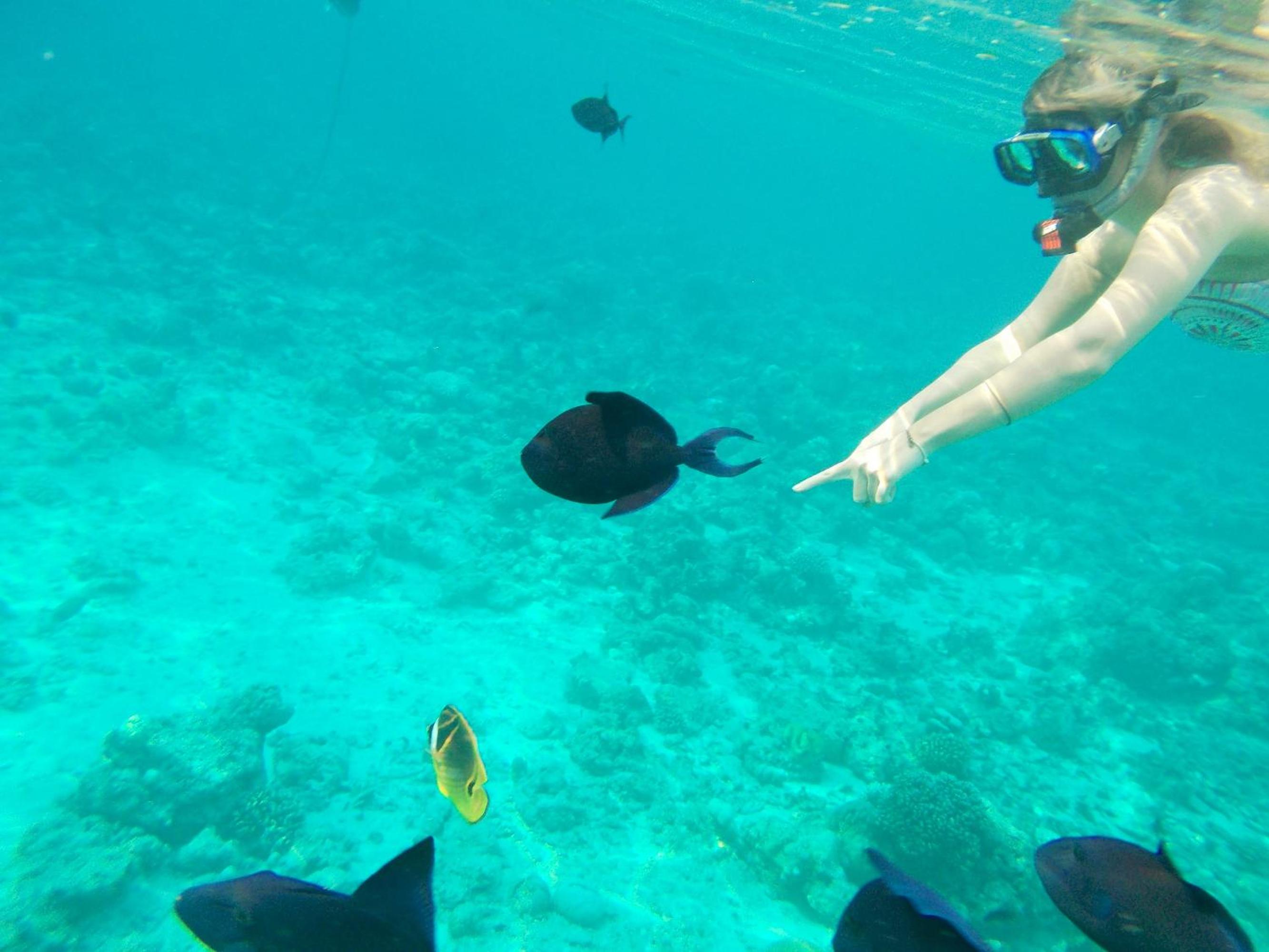 Nala Veli Villa