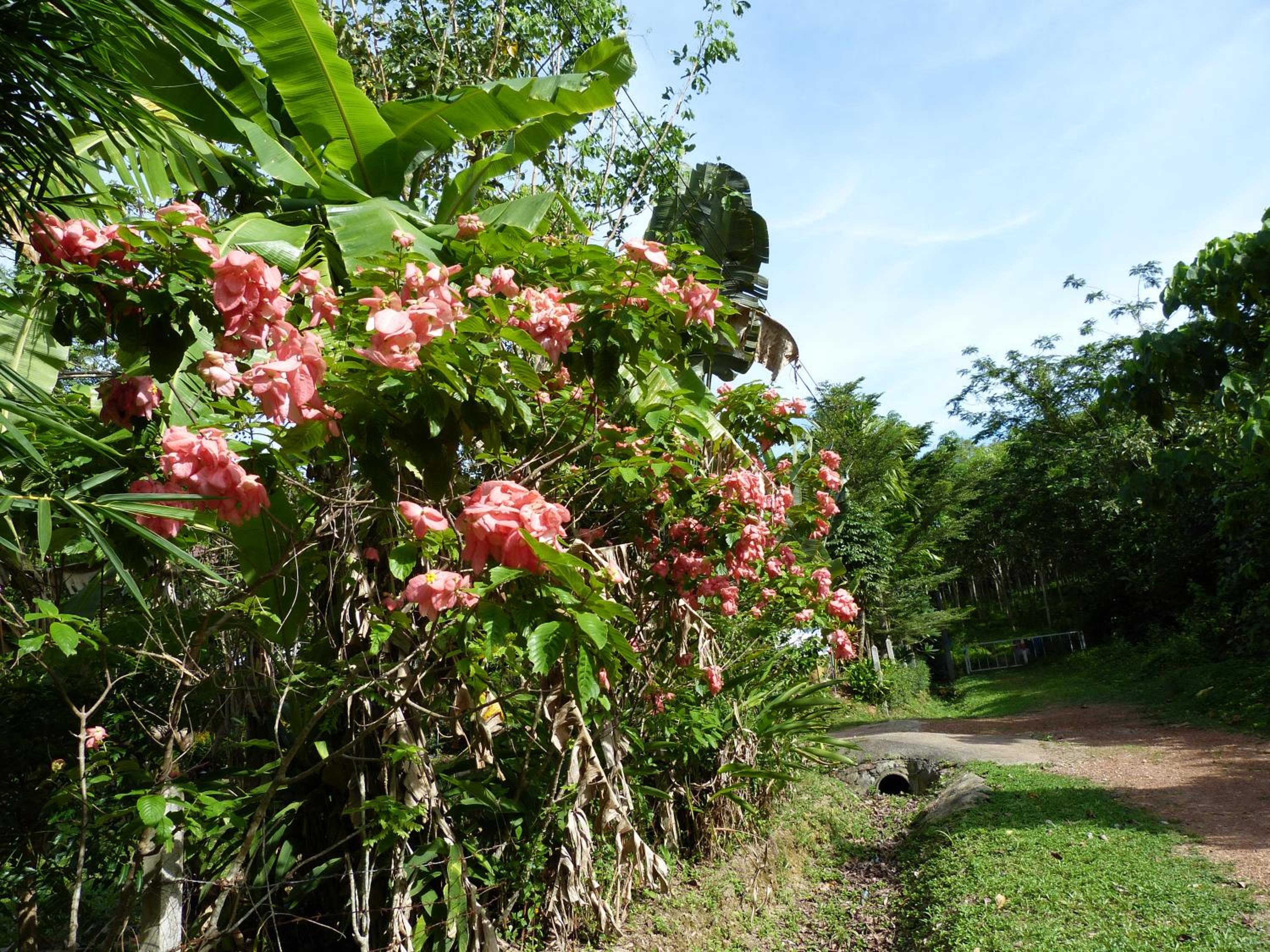 Photo 47