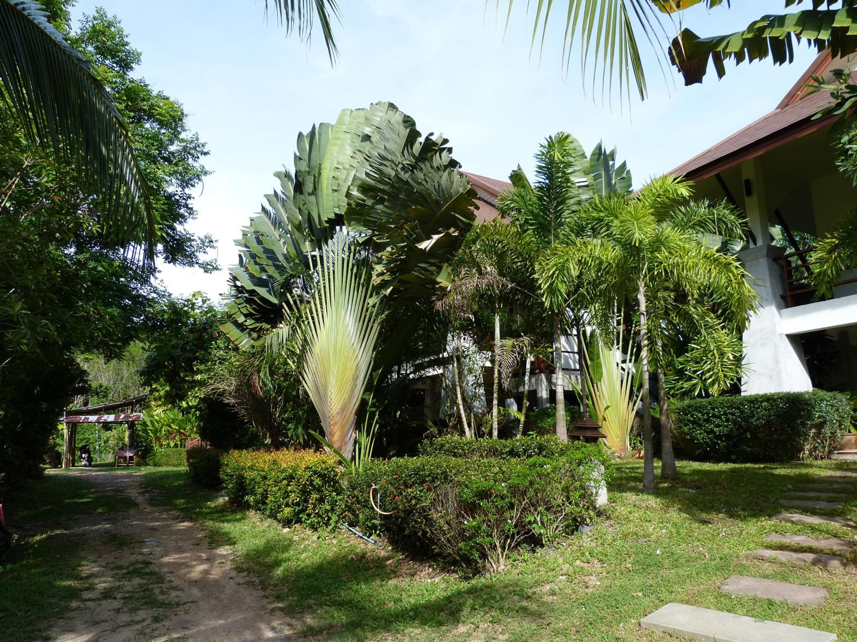 Photo 48