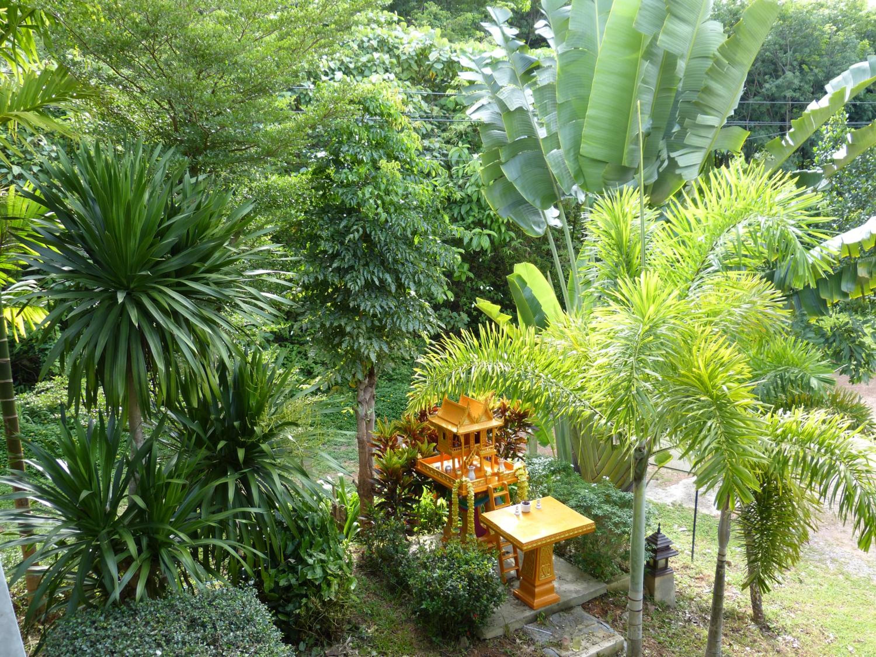 Photo 43