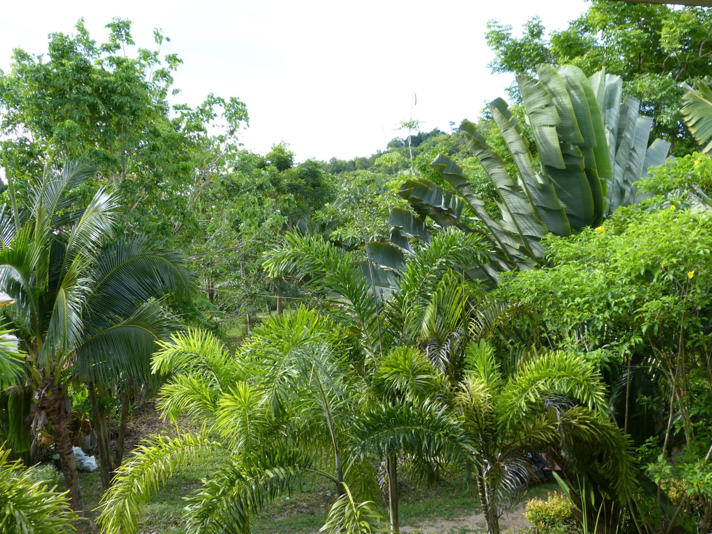 Photo 44