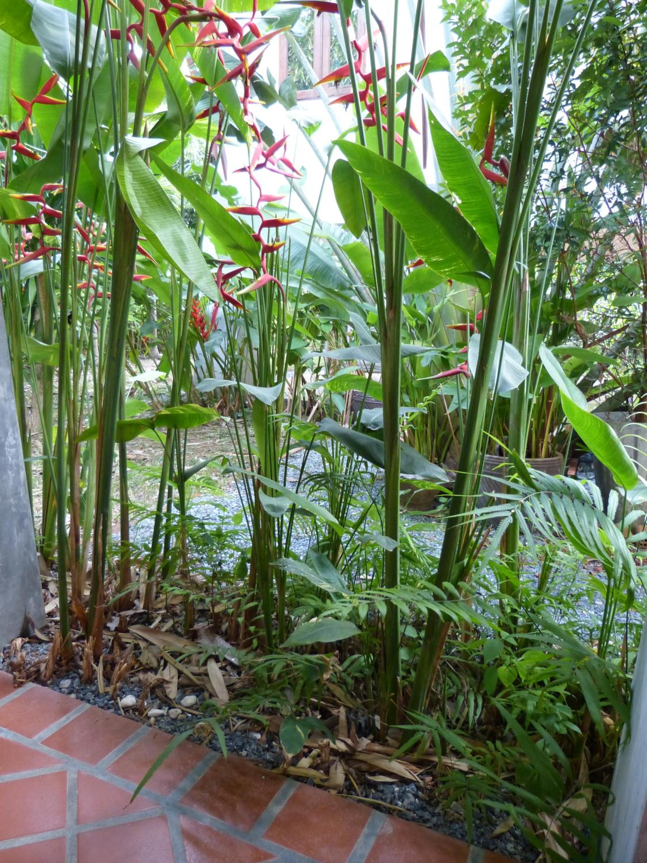 Photo 45