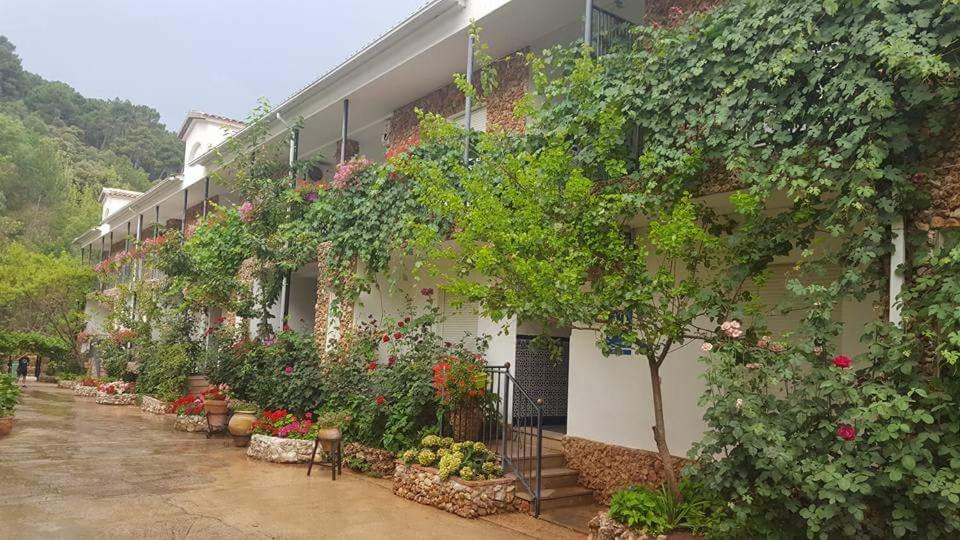 Photo 18