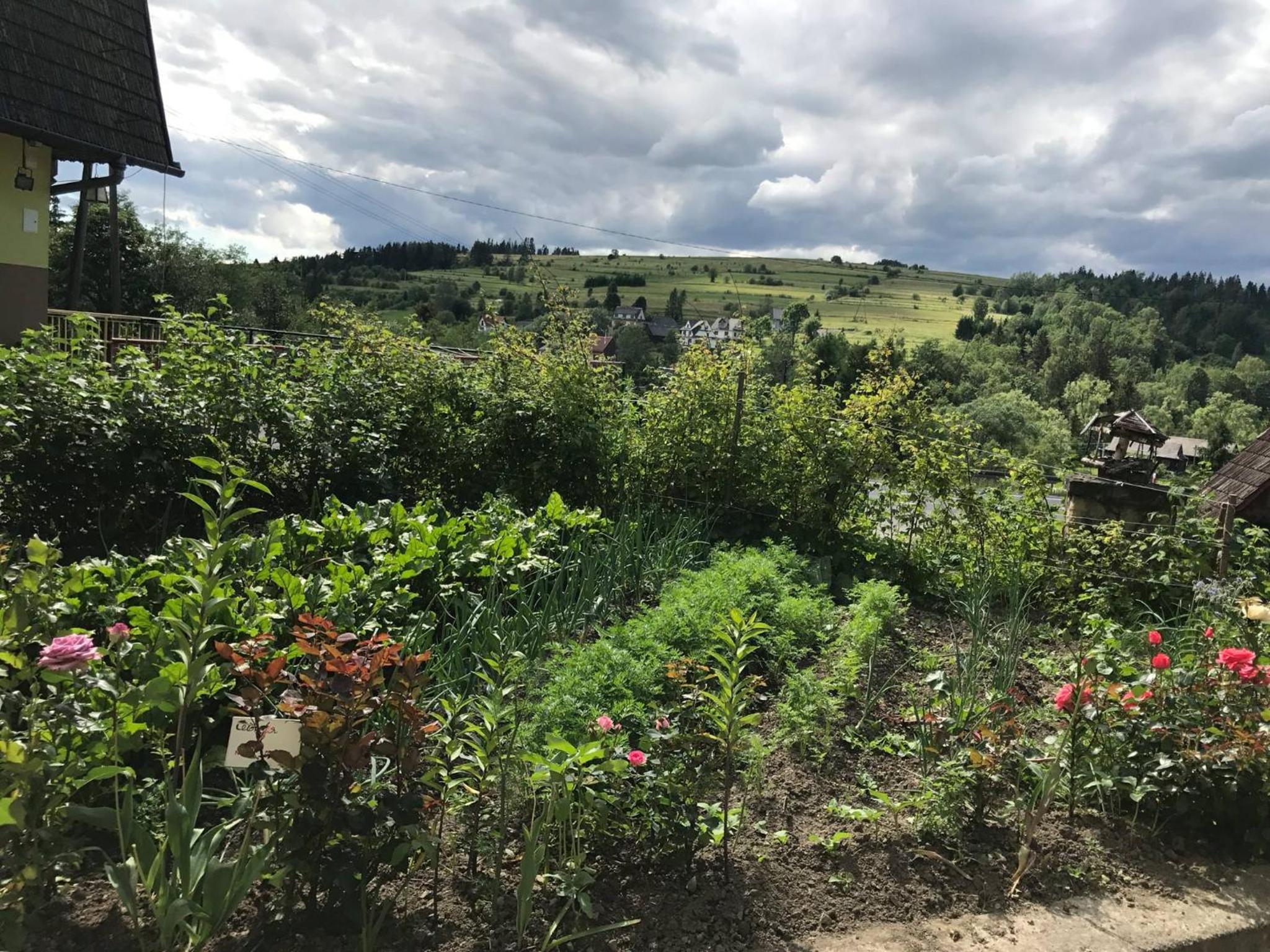 garden