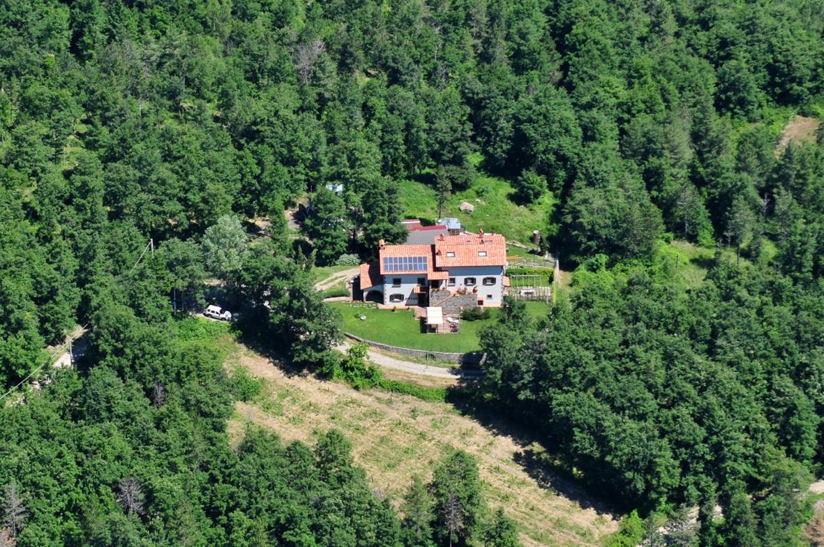 agriturismo trefossata view 2