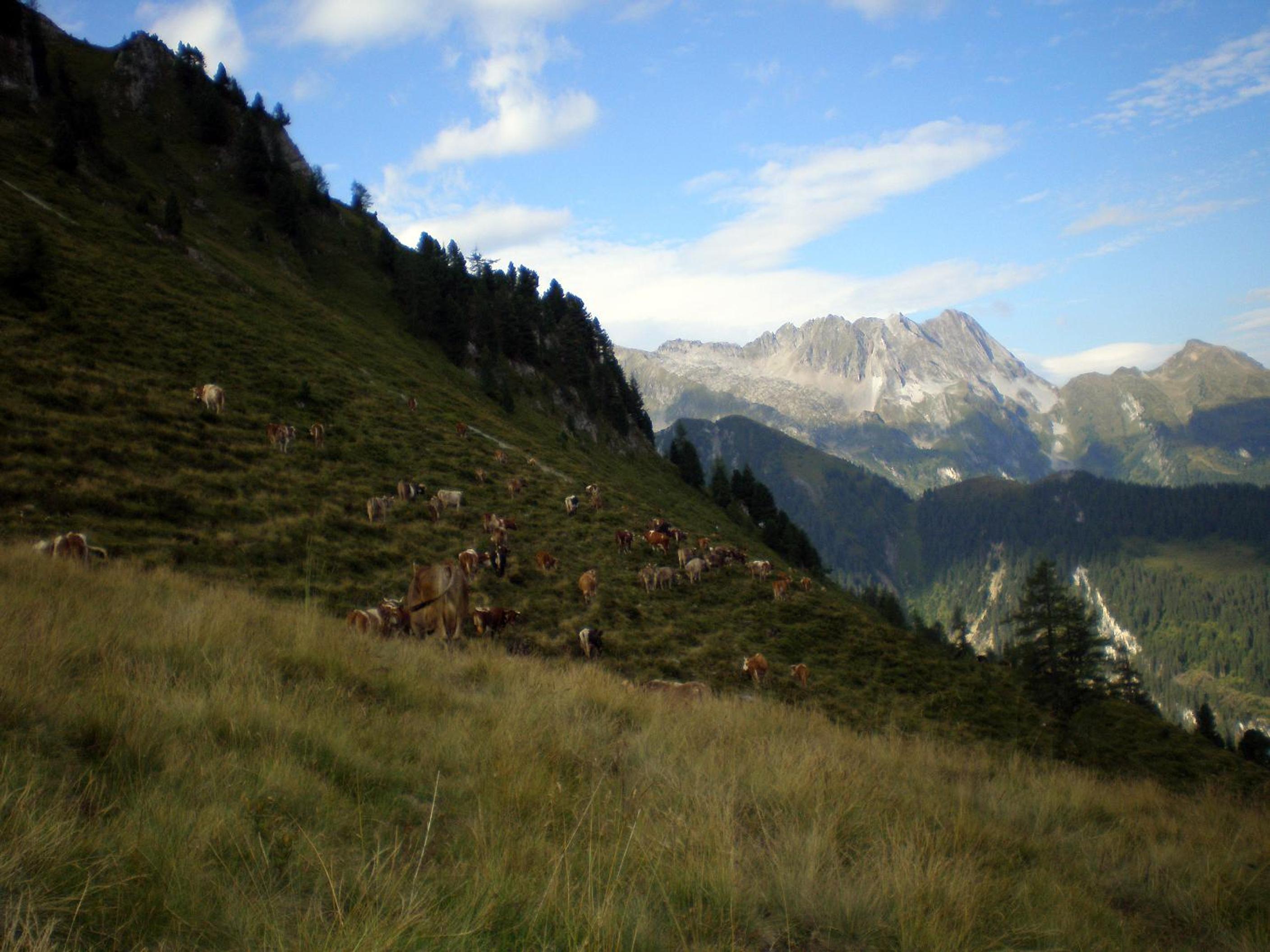 Badererhof Christine Wechselberger