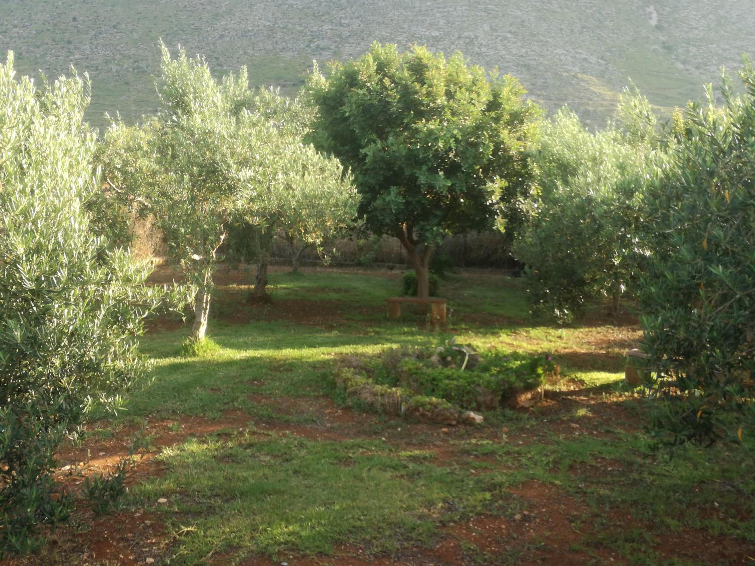 Photo 8