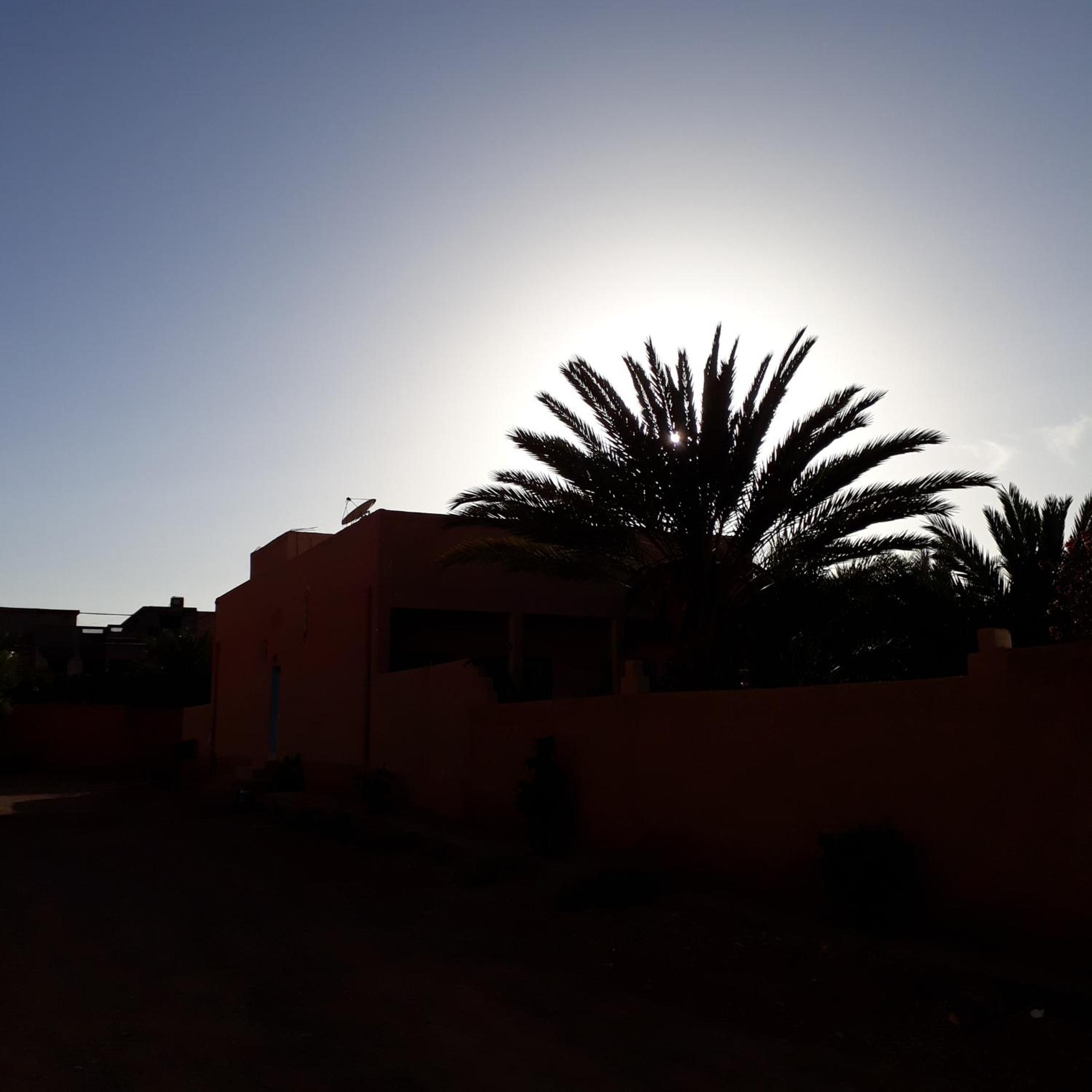 Photo 45