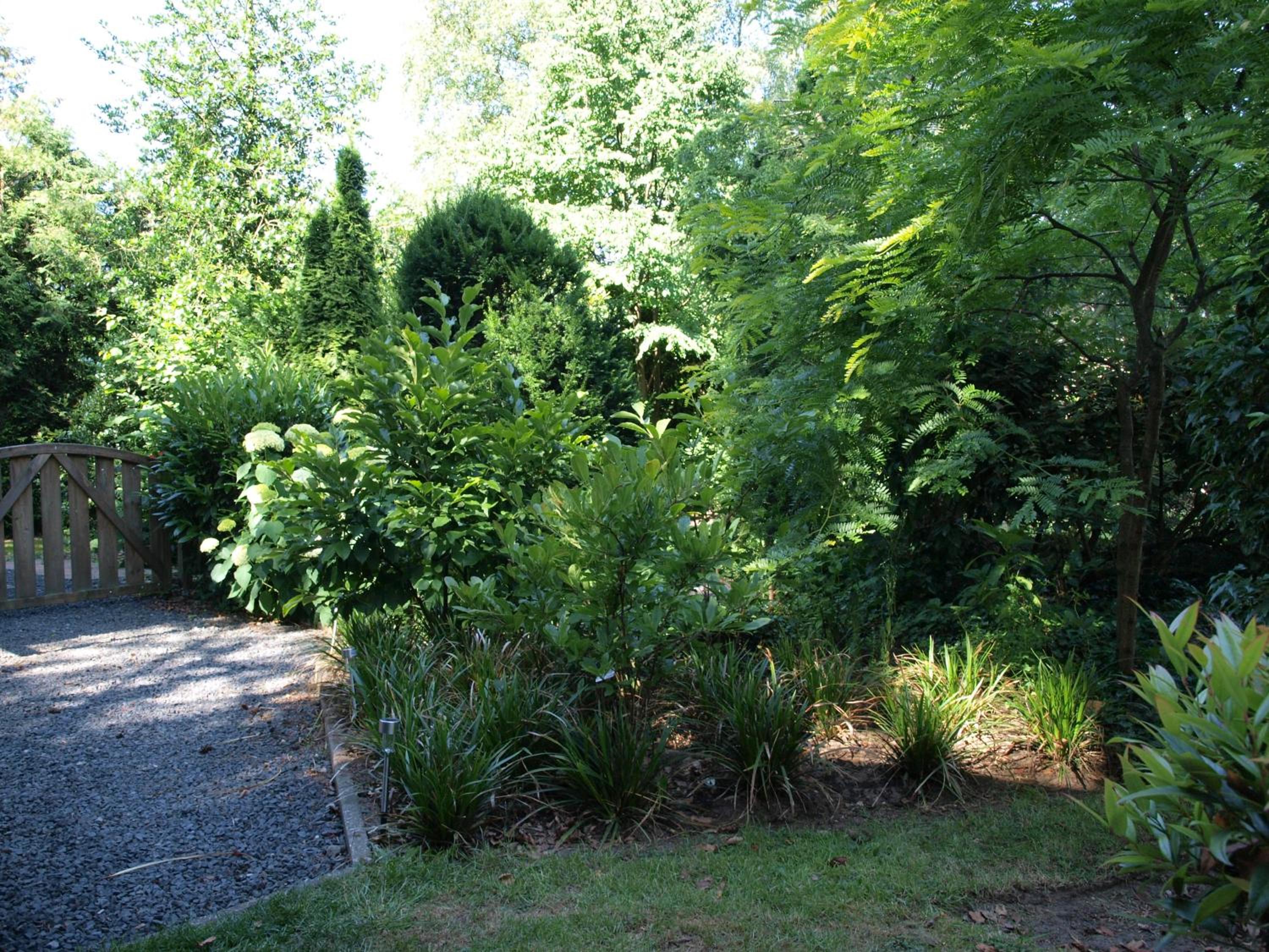 Photo 17