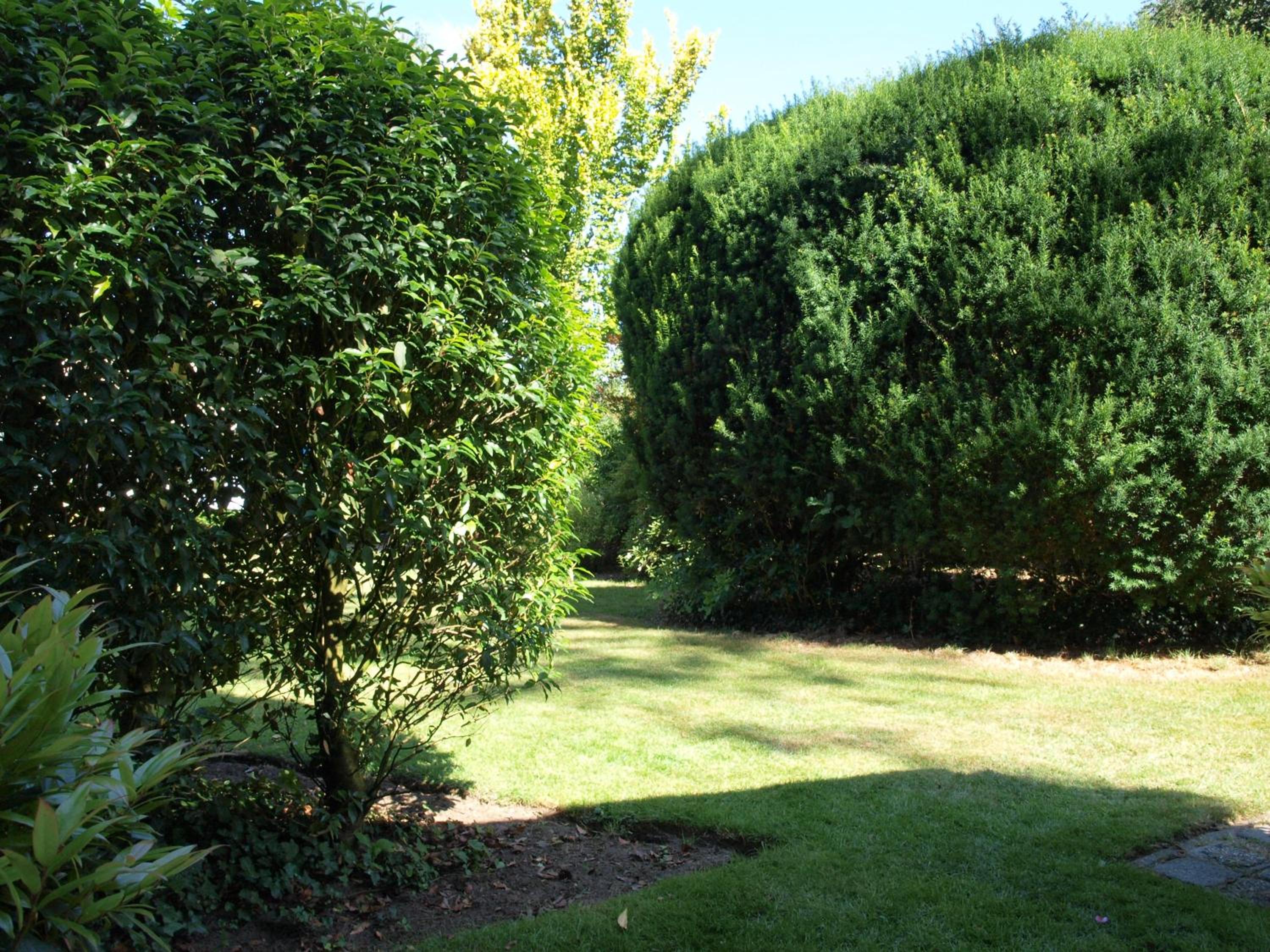 Photo 28