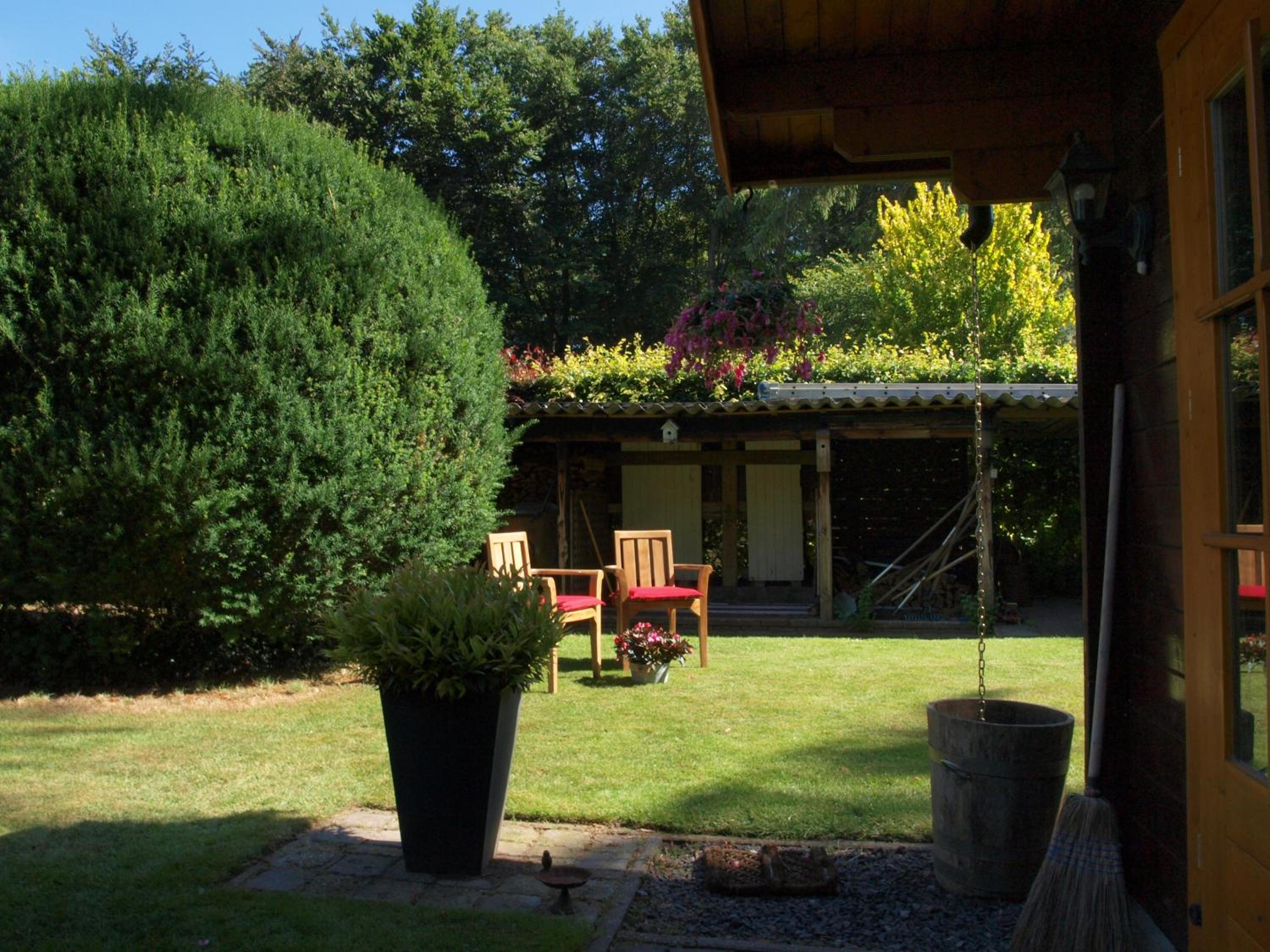 Photo 16