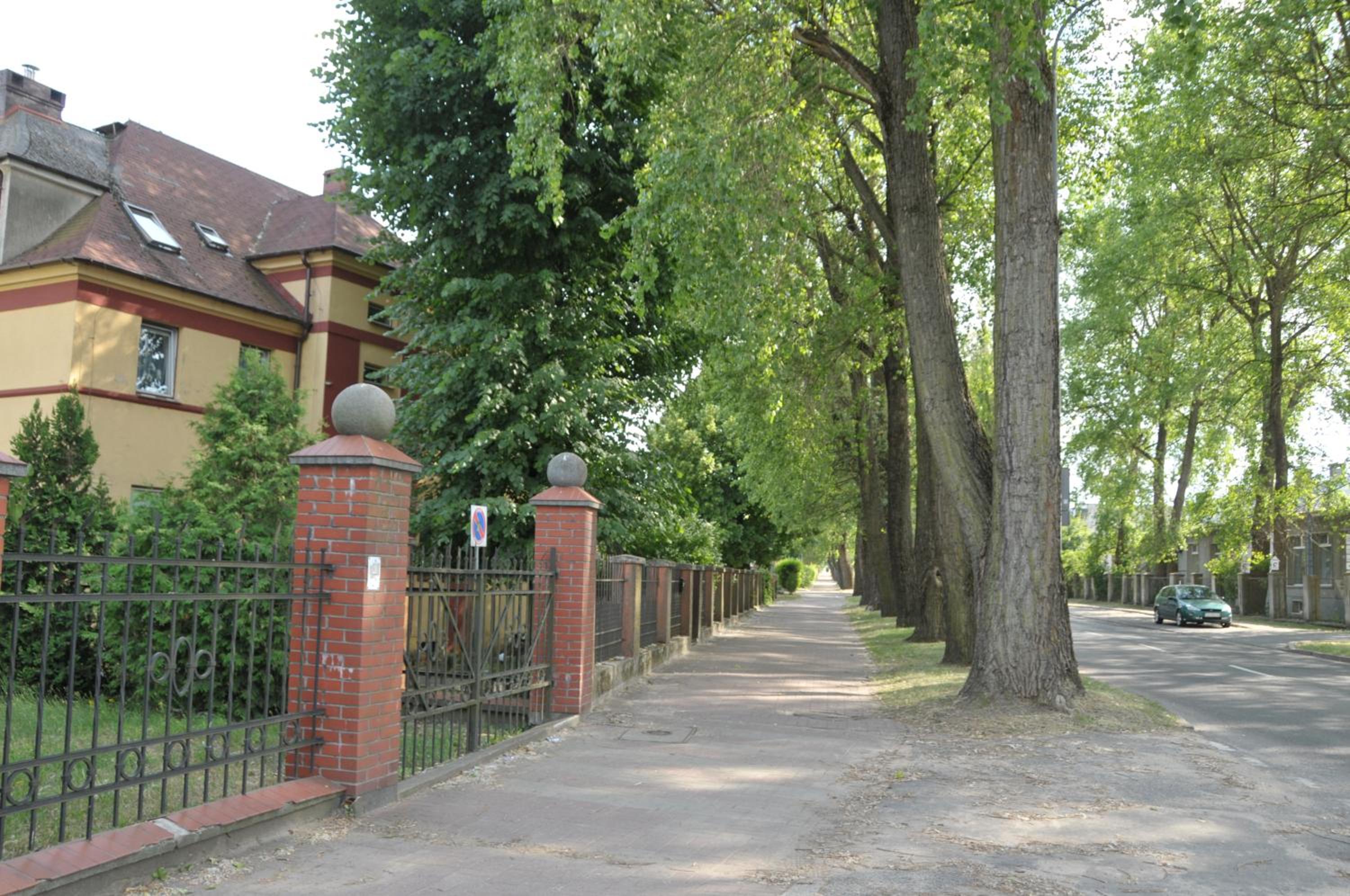 Photo 27