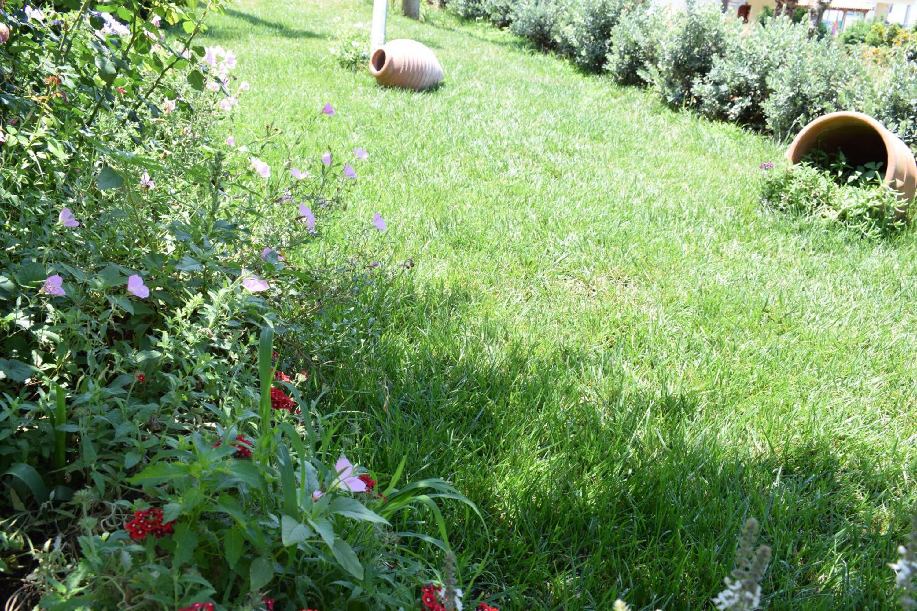 Photo 52
