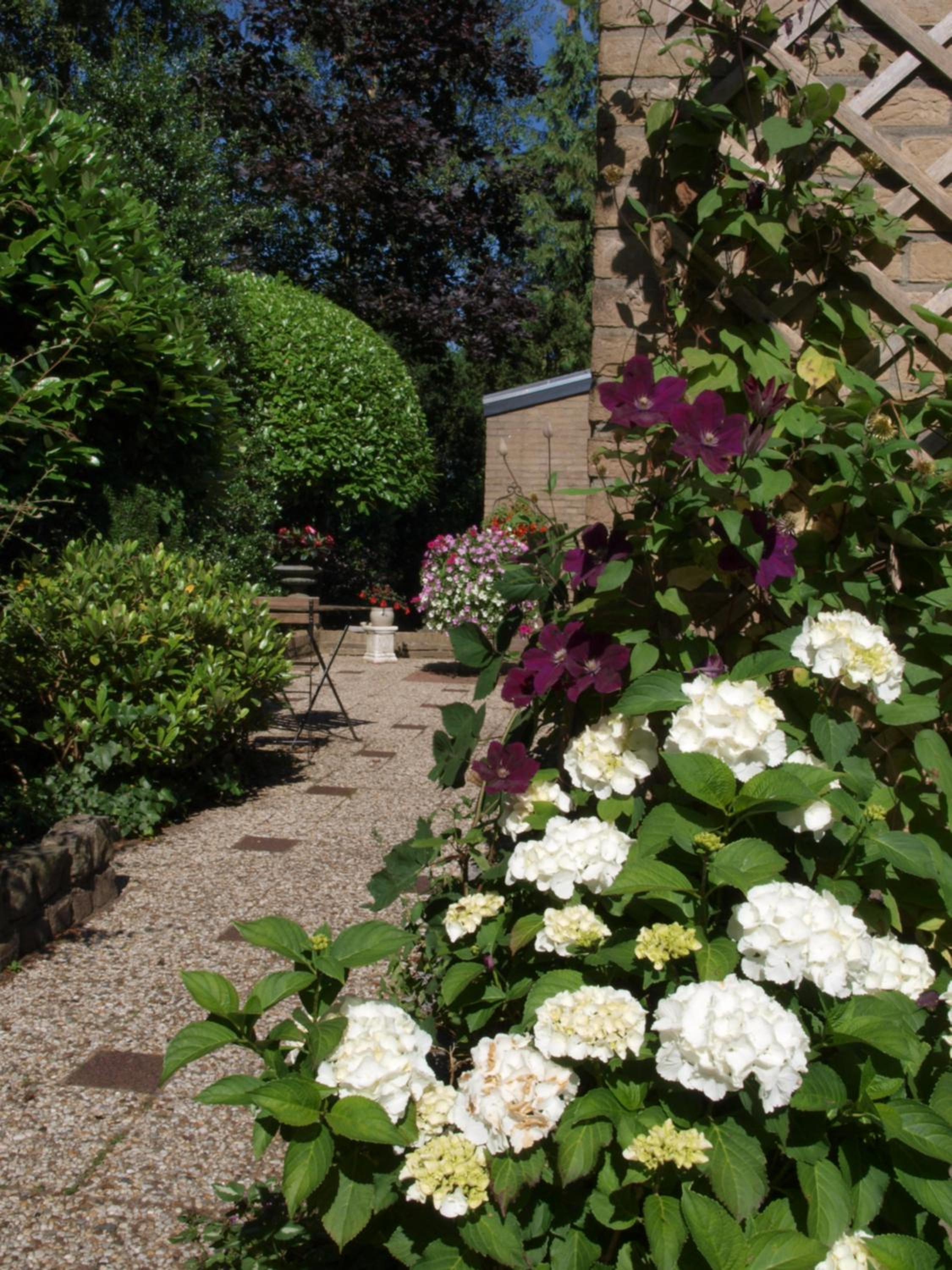 Photo 19