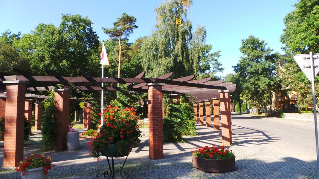 Photo 49